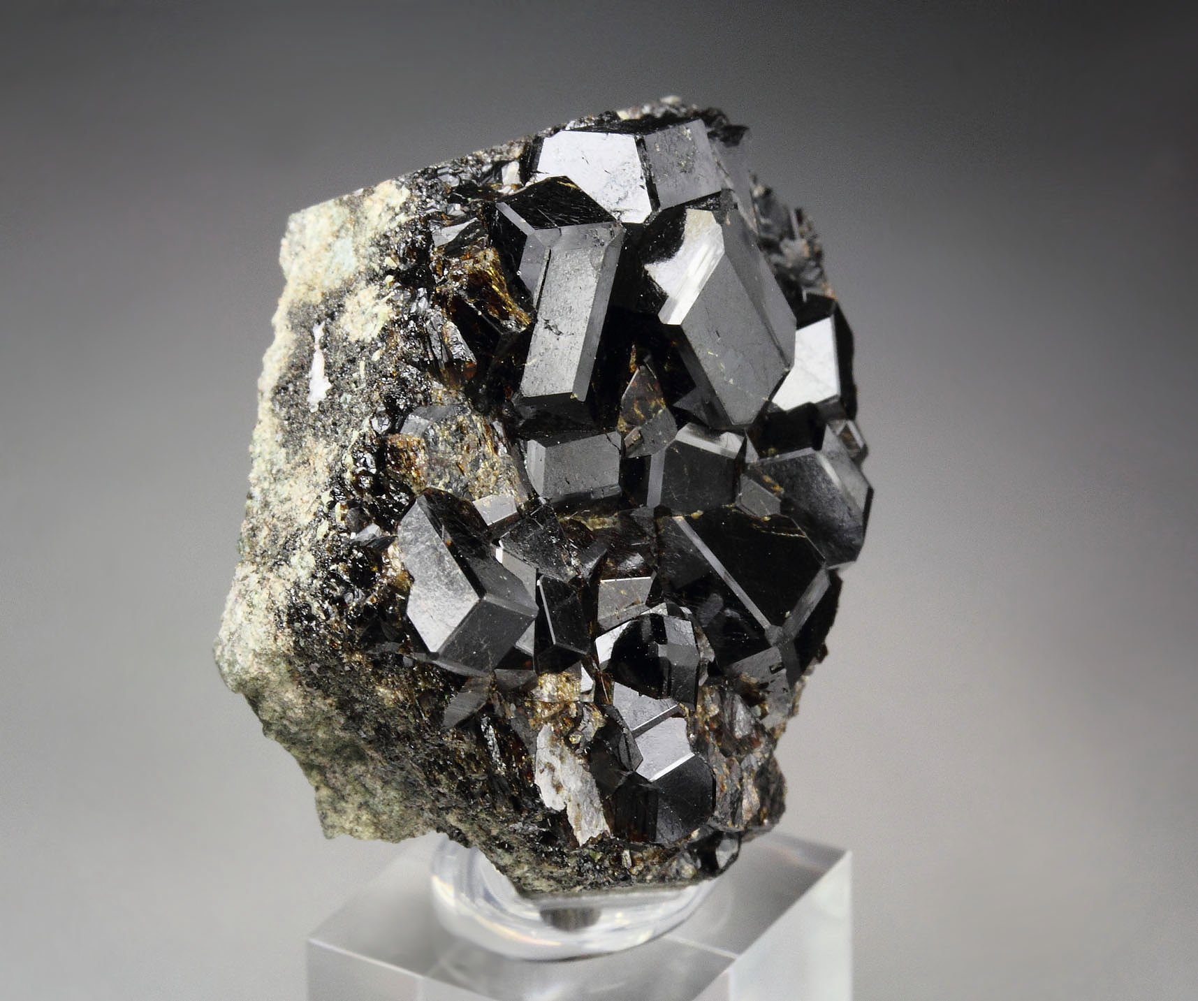 GARNET var. ANDRADITE var. MELANITE