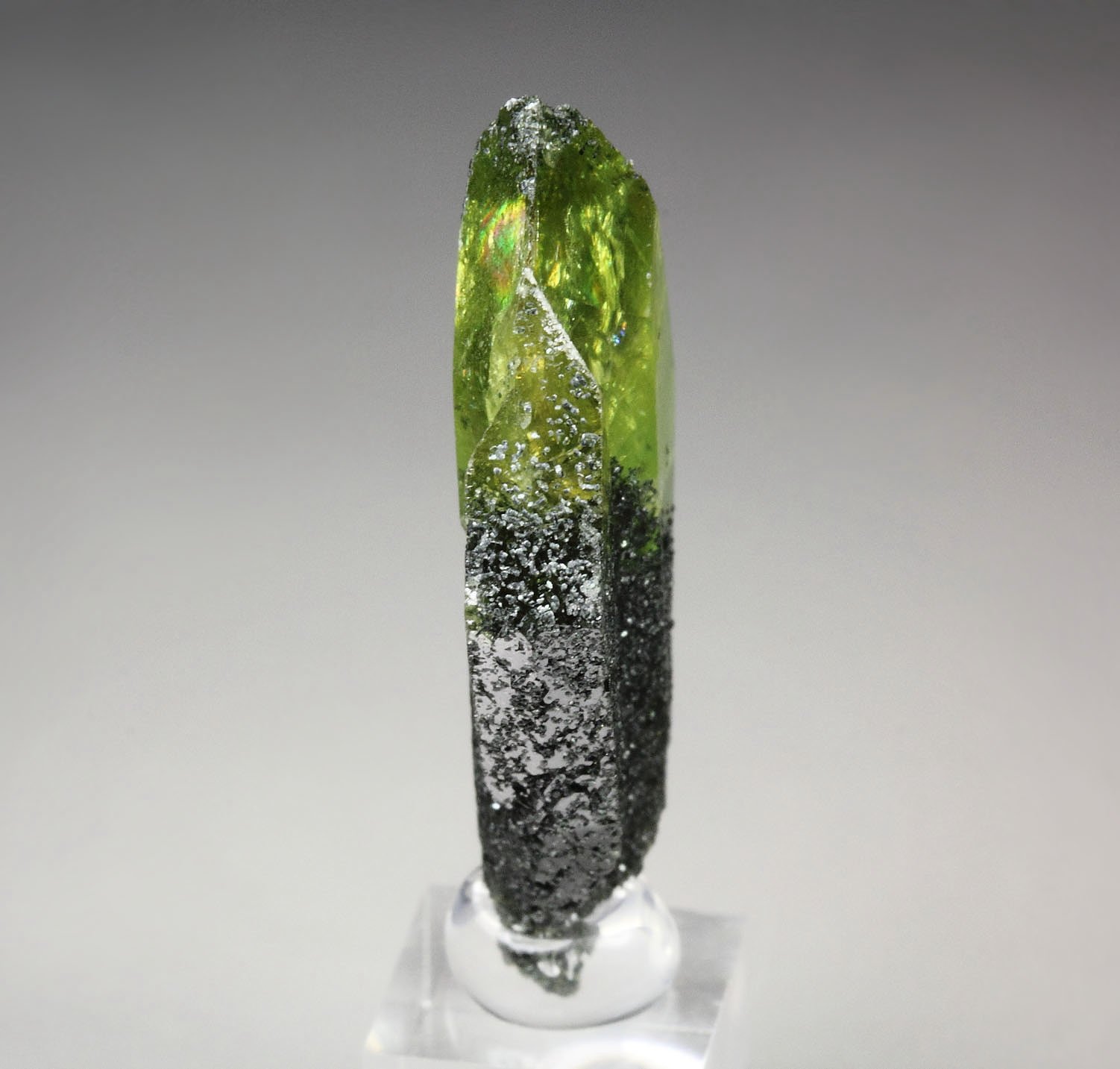 gem TITANITE twinned with CLINOCHLORE inclusions