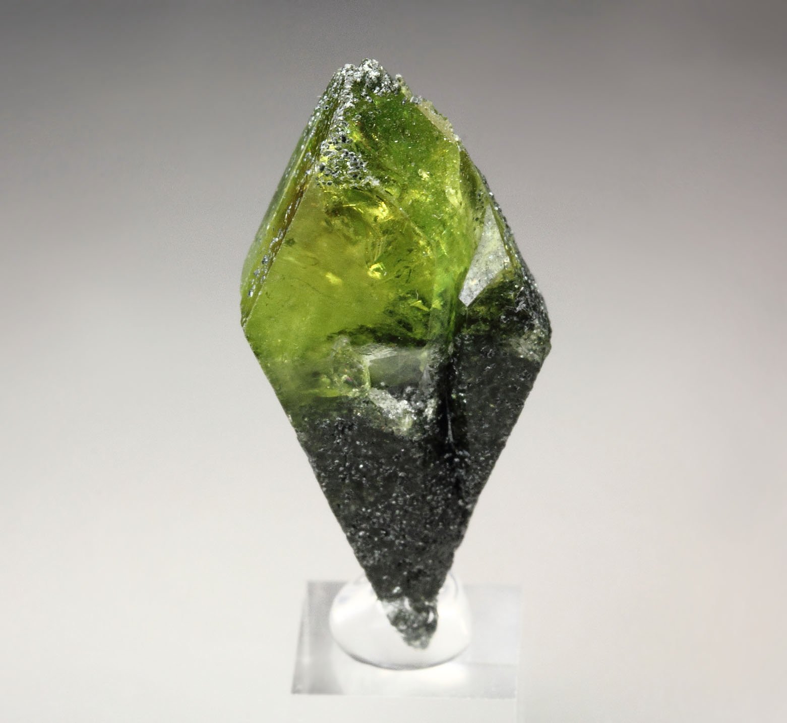 gem TITANITE twinned with CLINOCHLORE inclusions