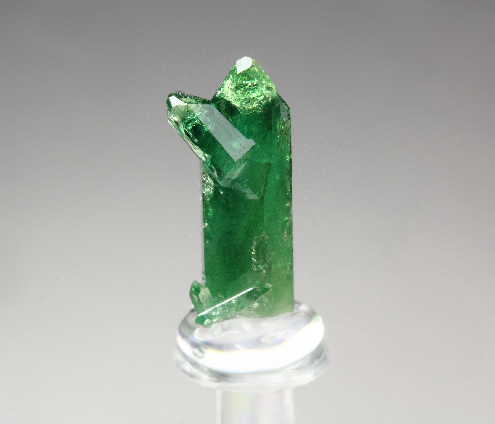 gemmy VESUVIANITE var. CHROMIAN