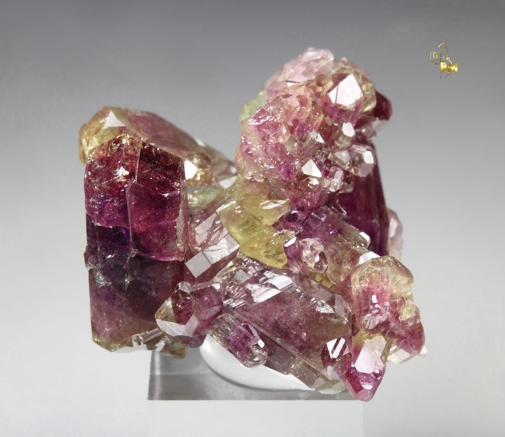 gem VESUVIANITE var. MANGANOAN