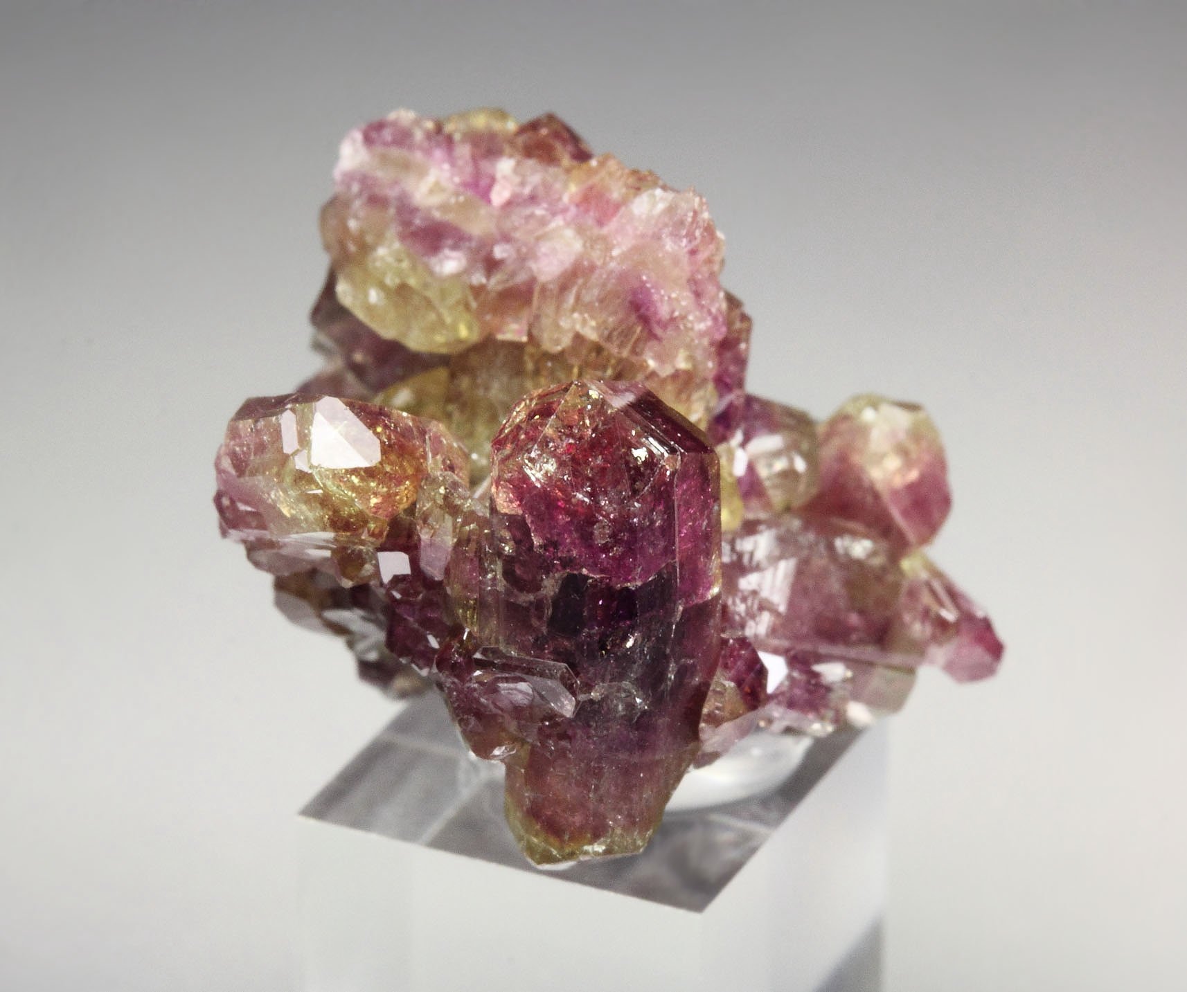 gem VESUVIANITE var. MANGANOAN