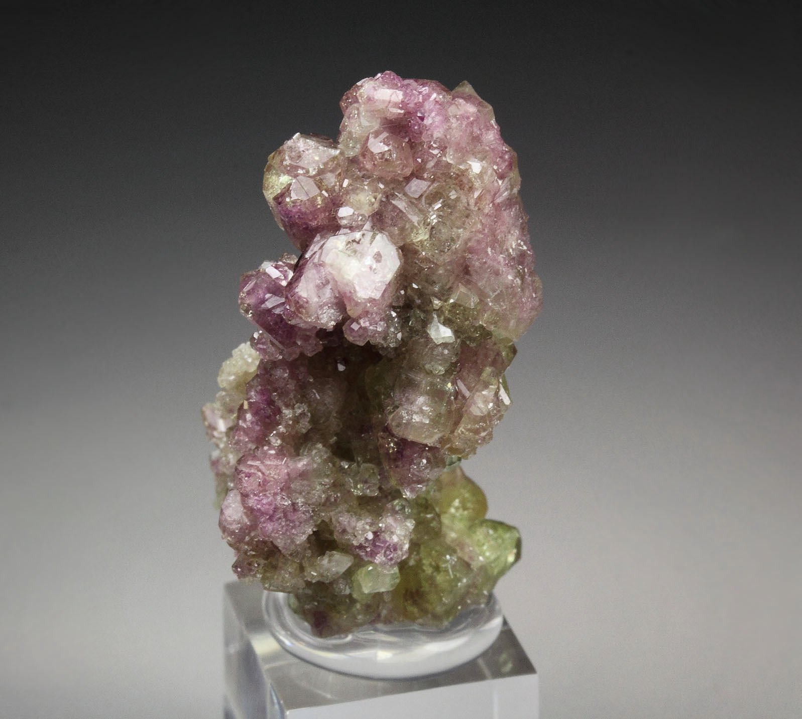 gem VESUVIANITE bi-color