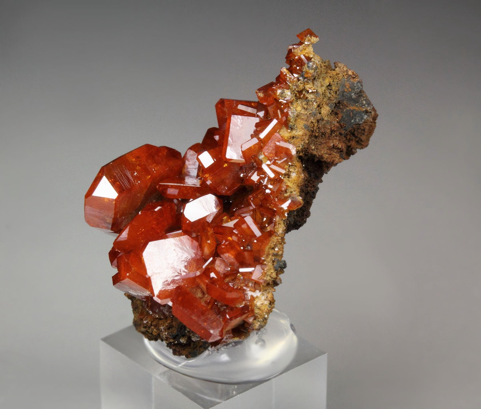 gemmy WULFENITE