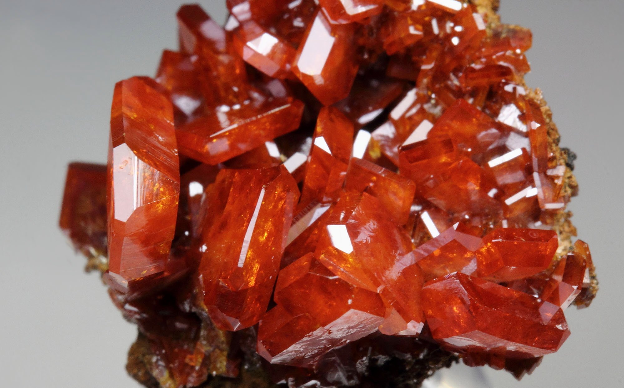 gemmy WULFENITE