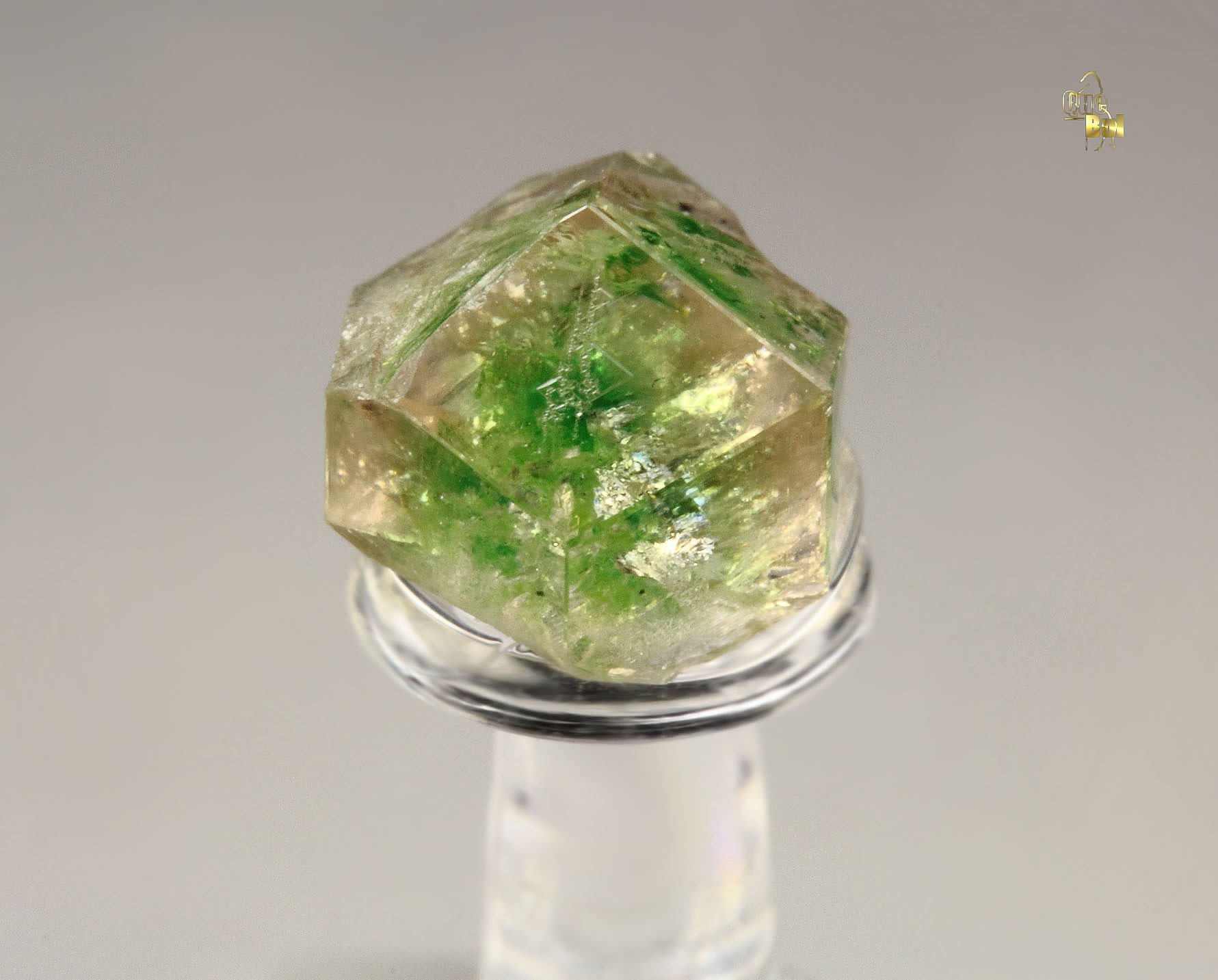 gem GARNET var. GROSSULAR with GREEN CHROMIAN PHANTOM