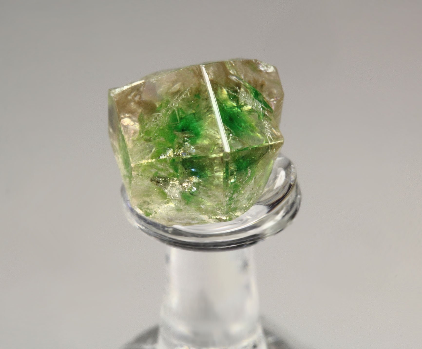 gem GARNET var. GROSSULAR with GREEN CHROMIAN PHANTOM