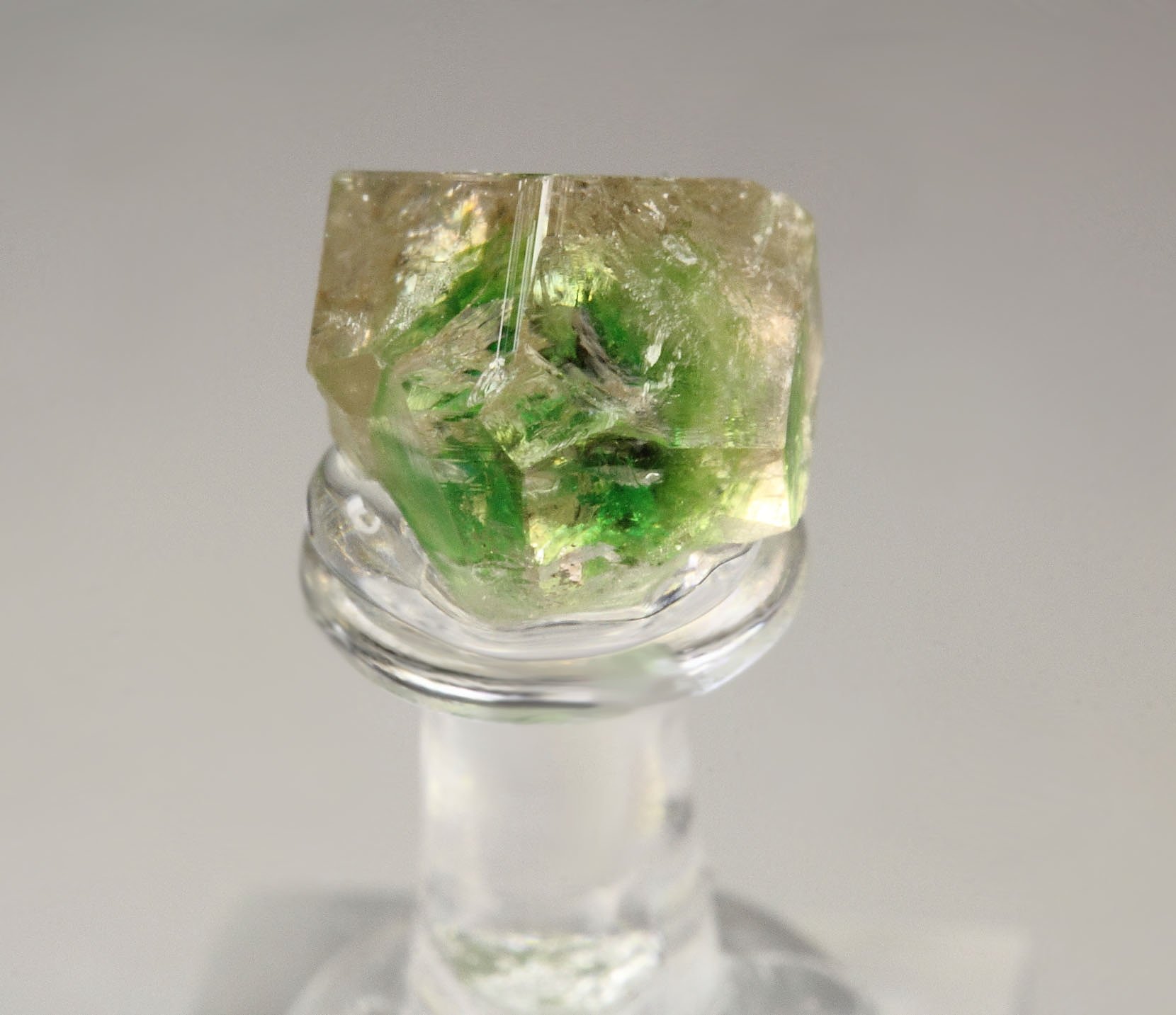 gem GARNET var. GROSSULAR with GREEN CHROMIAN PHANTOM