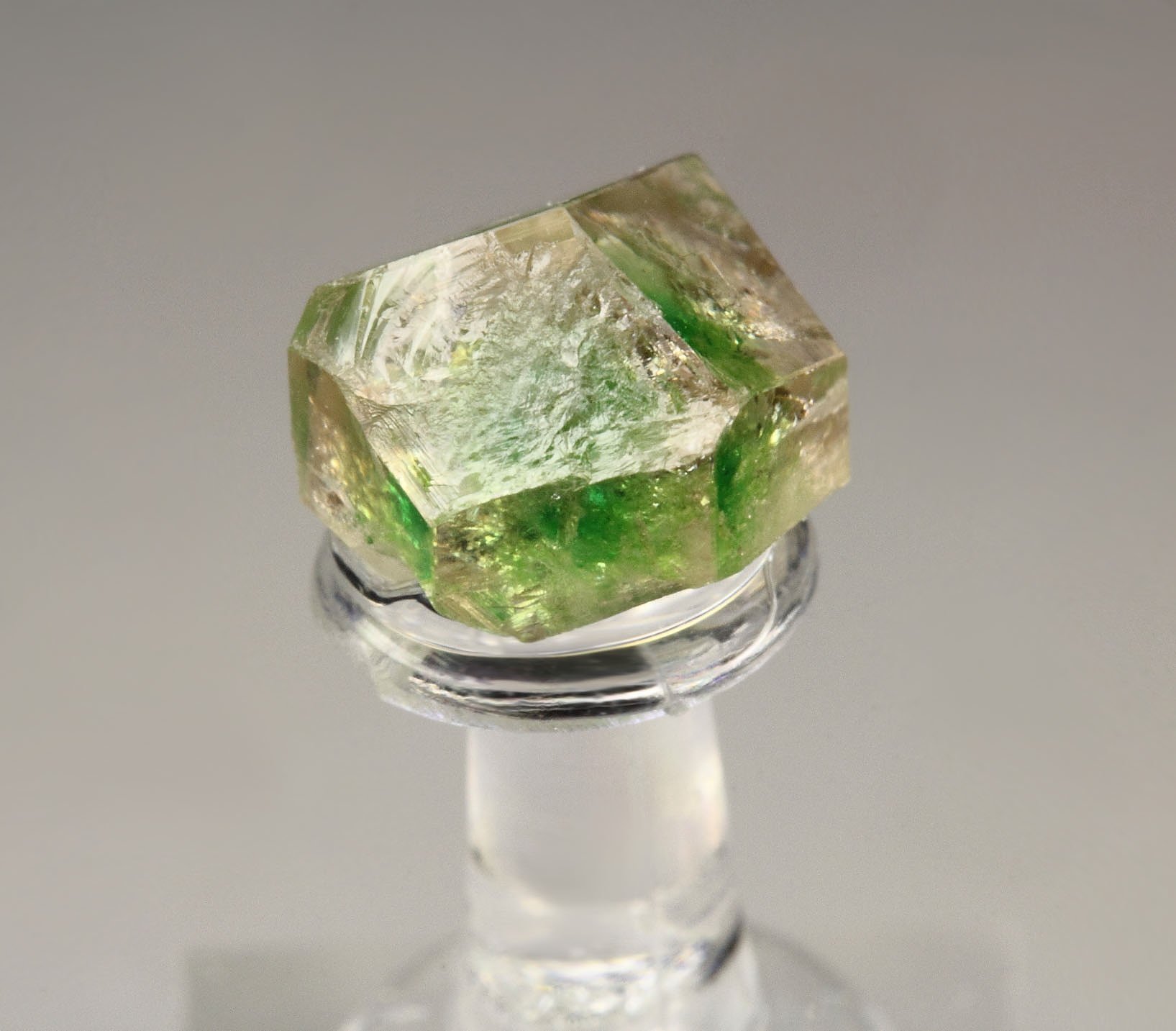 gem GARNET var. GROSSULAR with GREEN CHROMIAN PHANTOM