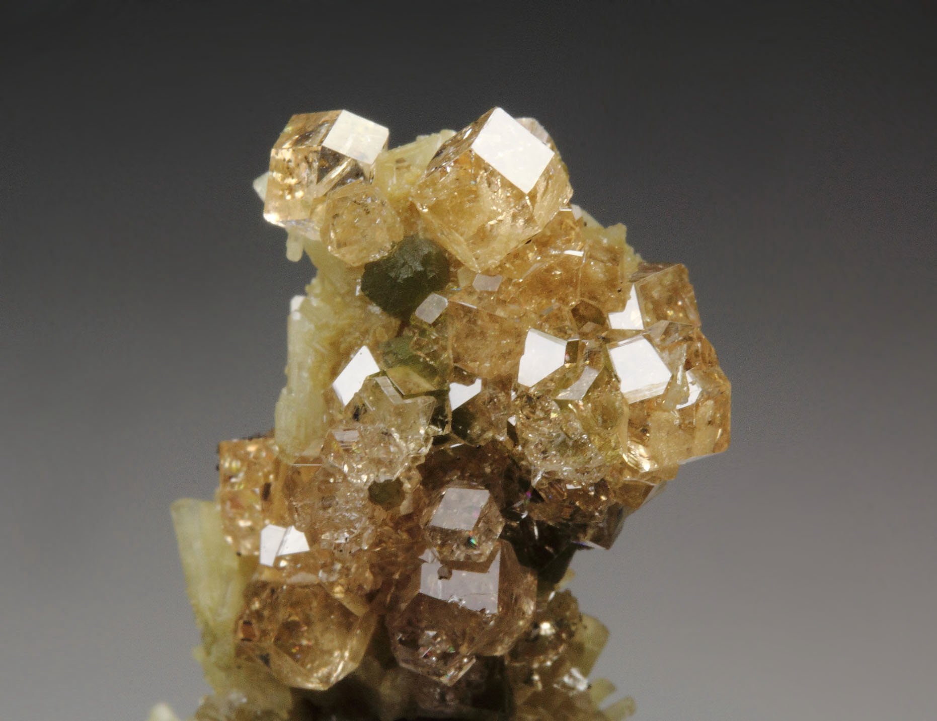 gem GARNET var. GROSSULAR, CLINOCHLORE, DIOPSIDE