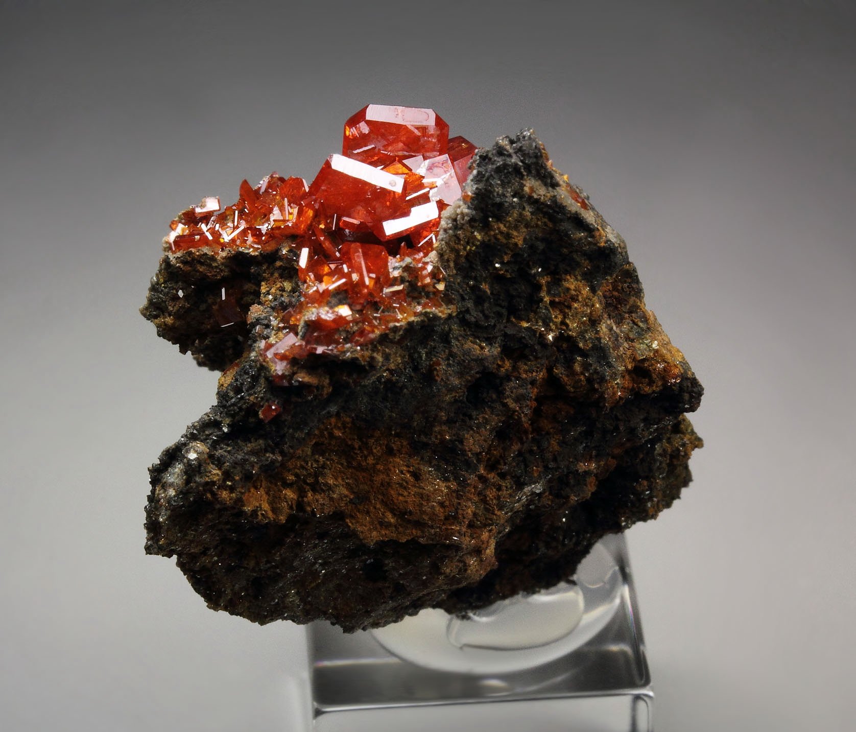 gemmy WULFENITE