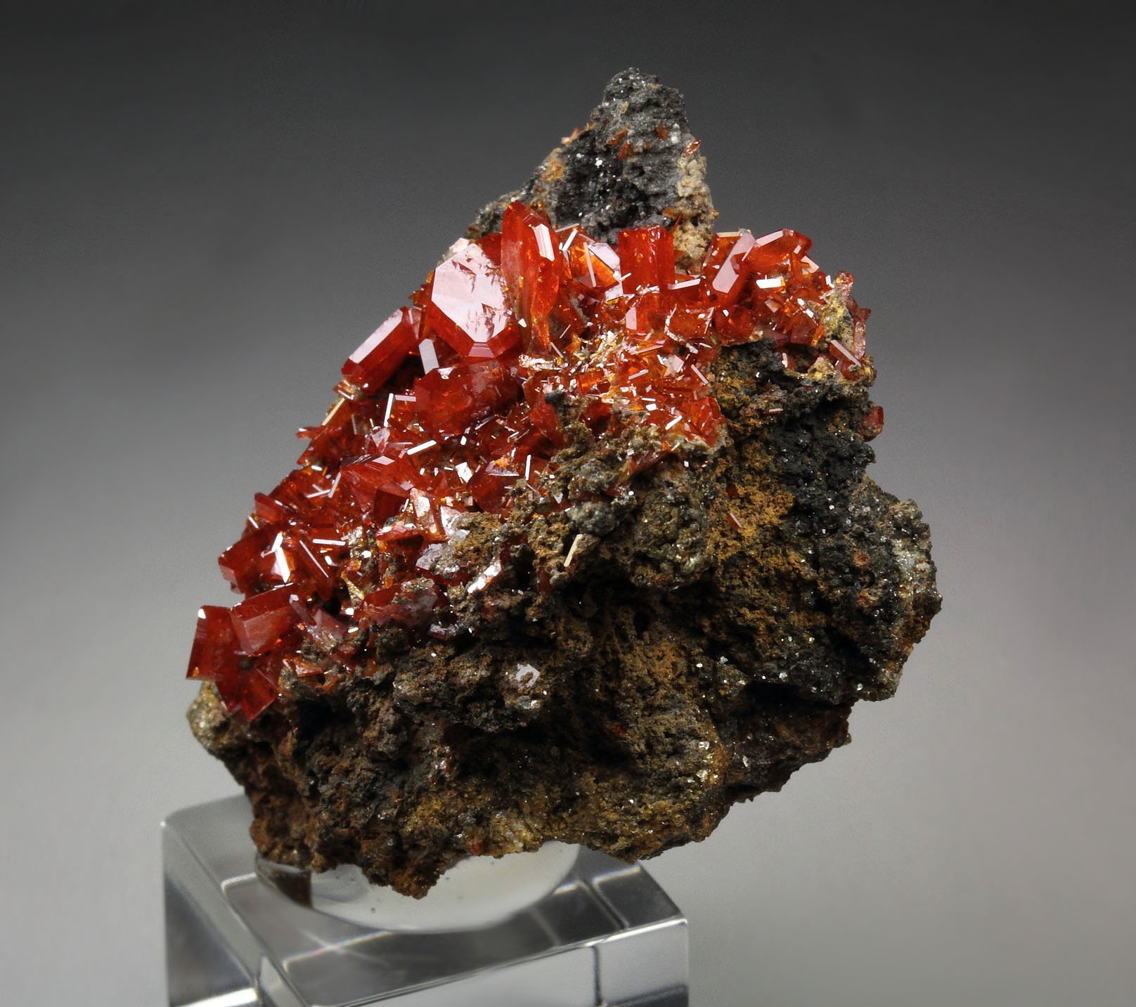 gemmy WULFENITE