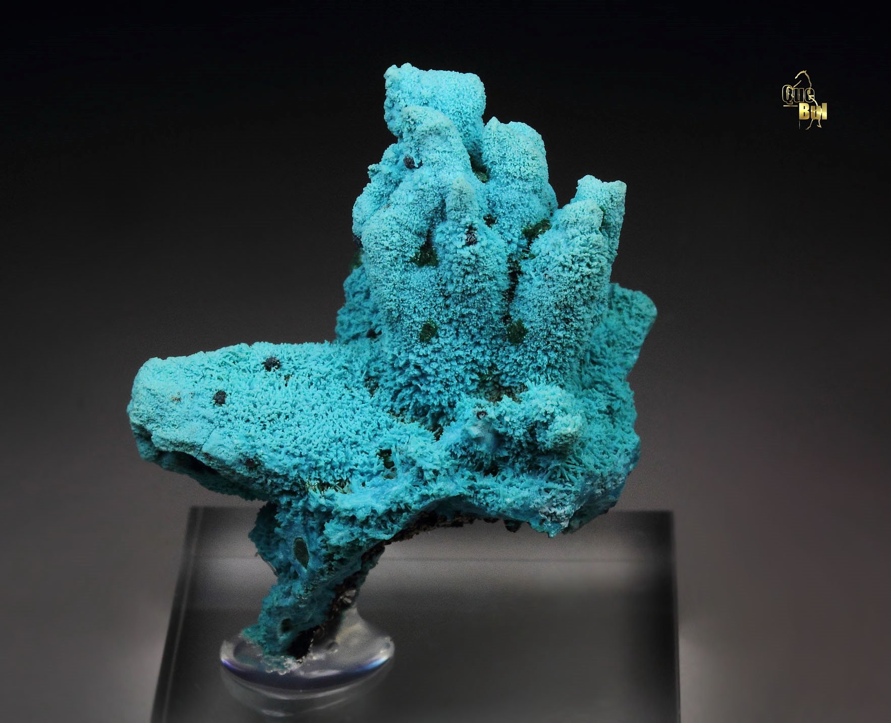 CHRYSOCOLLA pseudomorph after AZURITE, after MALACHITE