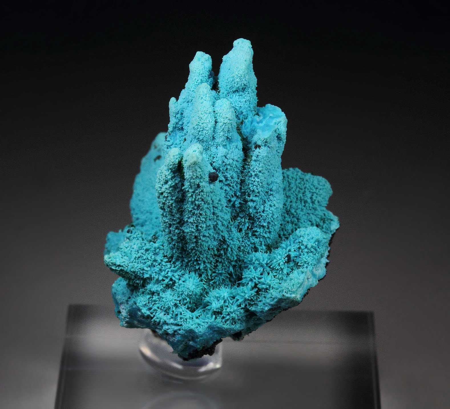 CHRYSOCOLLA pseudomorph after AZURITE, after MALACHITE