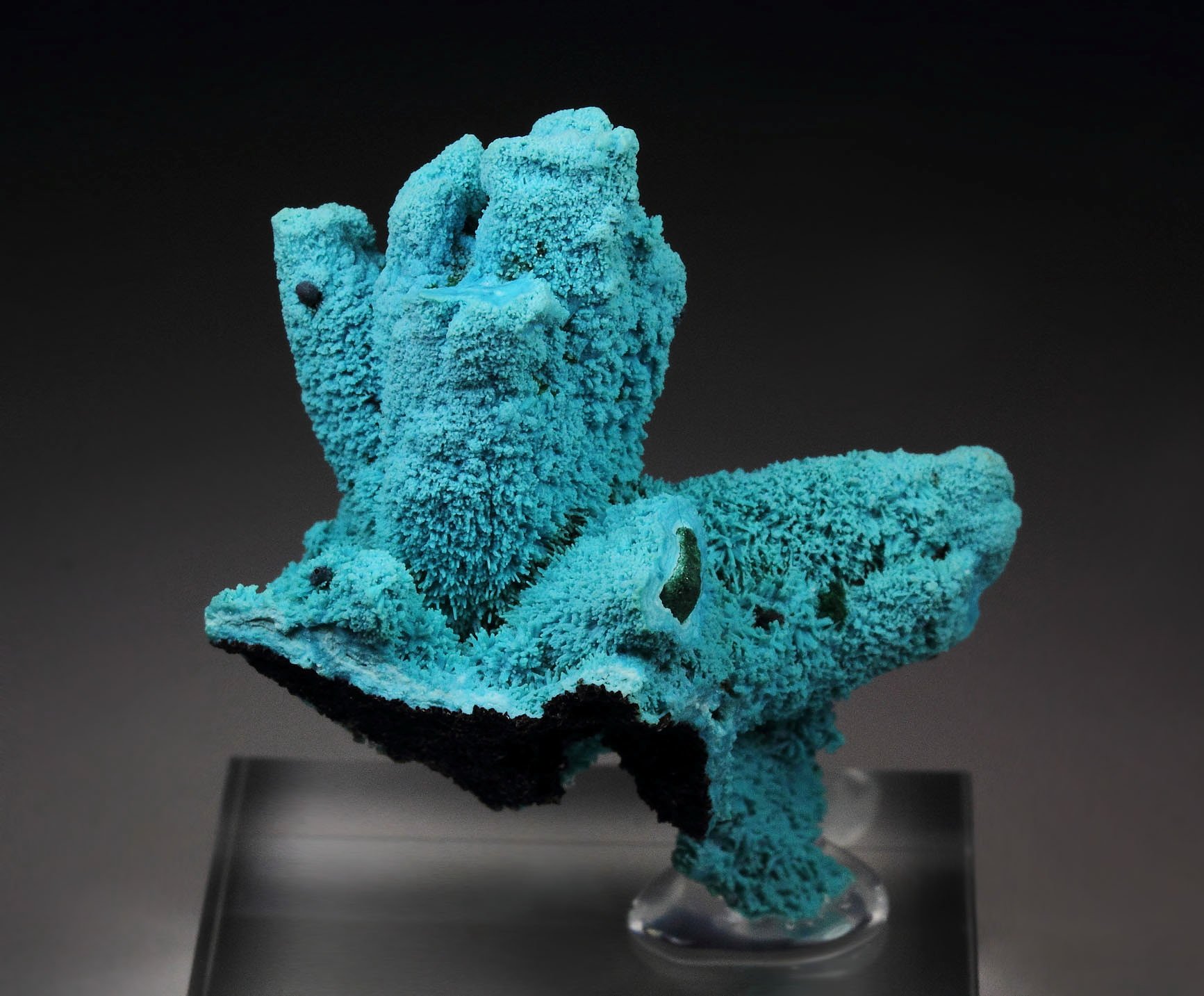 CHRYSOCOLLA pseudomorph after AZURITE, after MALACHITE