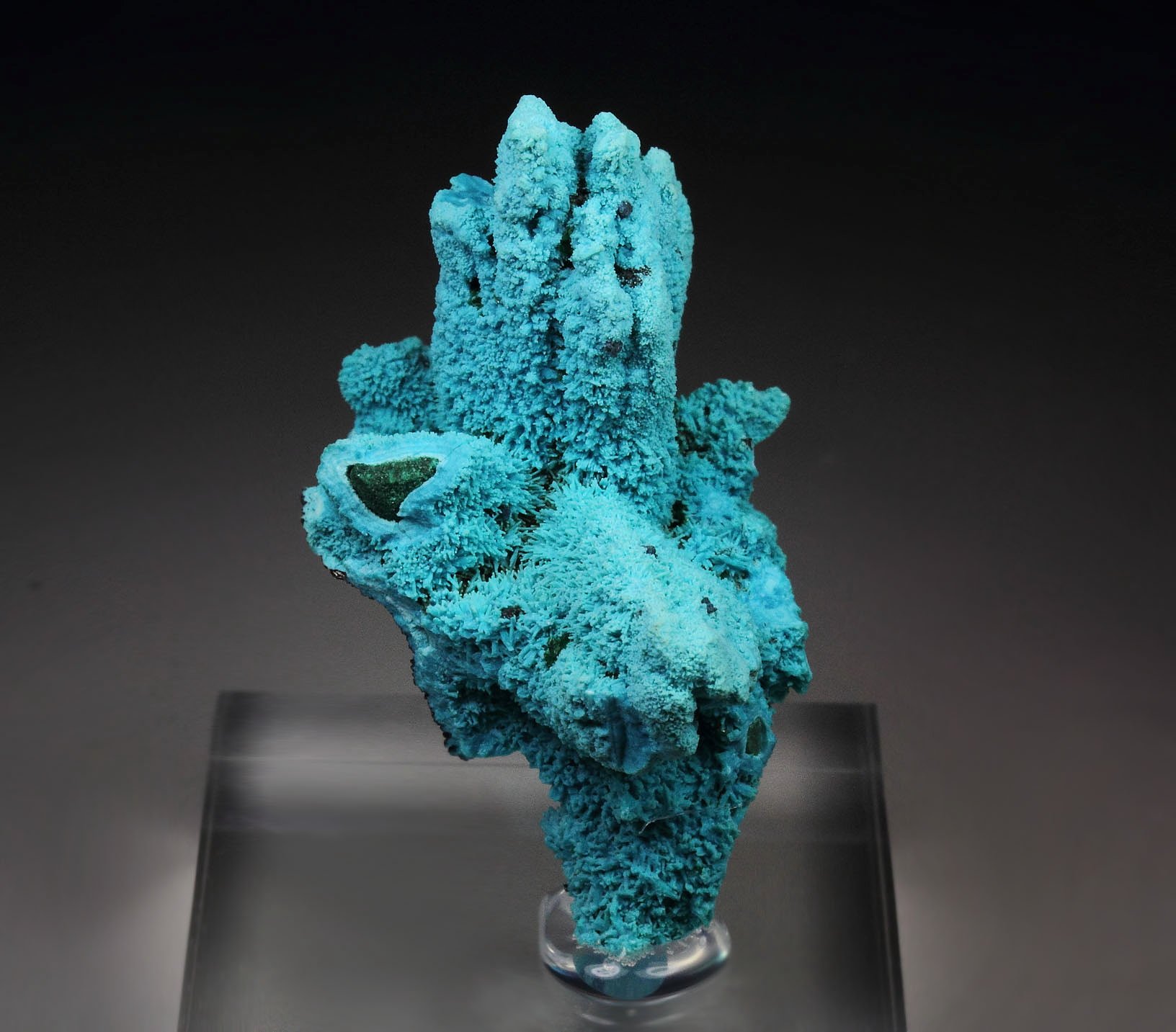 CHRYSOCOLLA pseudomorph after AZURITE, after MALACHITE