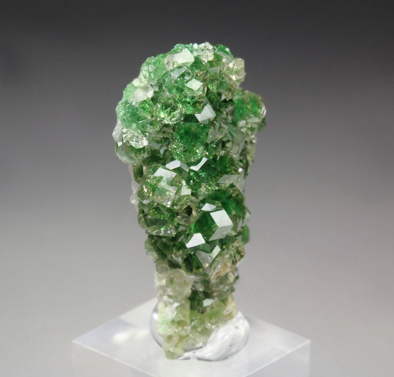 gem GARNET var. GROSSULAR with GREEN CHROMIAN PHANTOMS