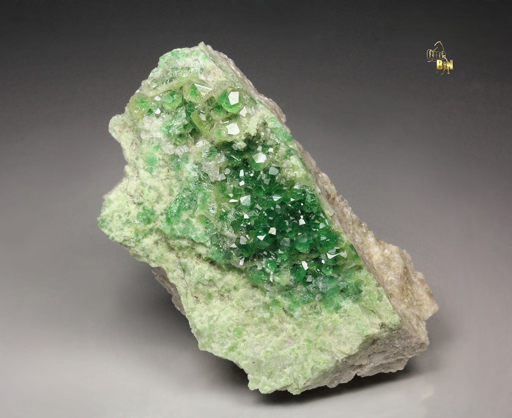 gem GARNET var. GROSSULAR var. CHROMIAN, DIOPSIDE