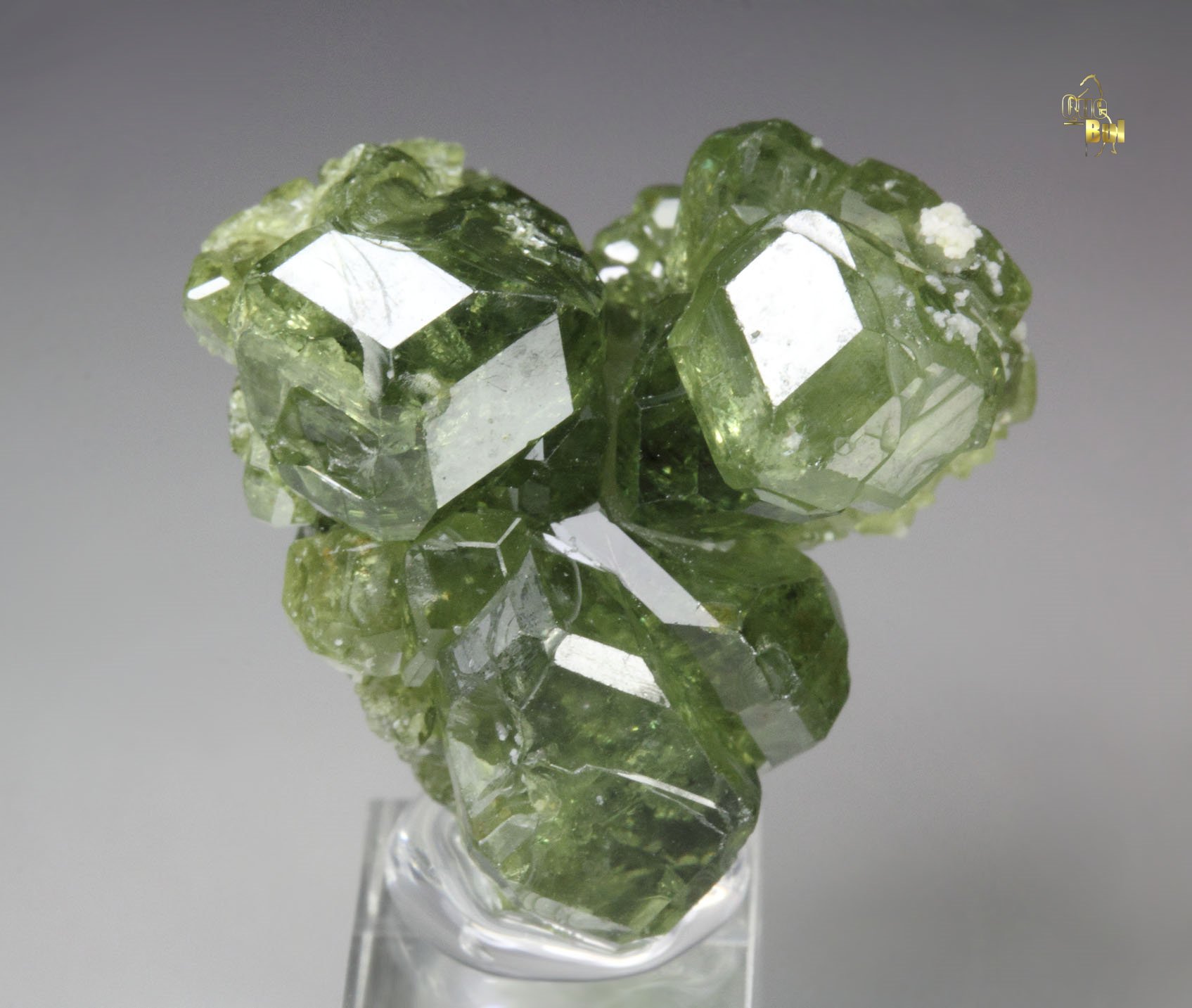 gem GARNET var. ANDRADITE var. DEMANTOID