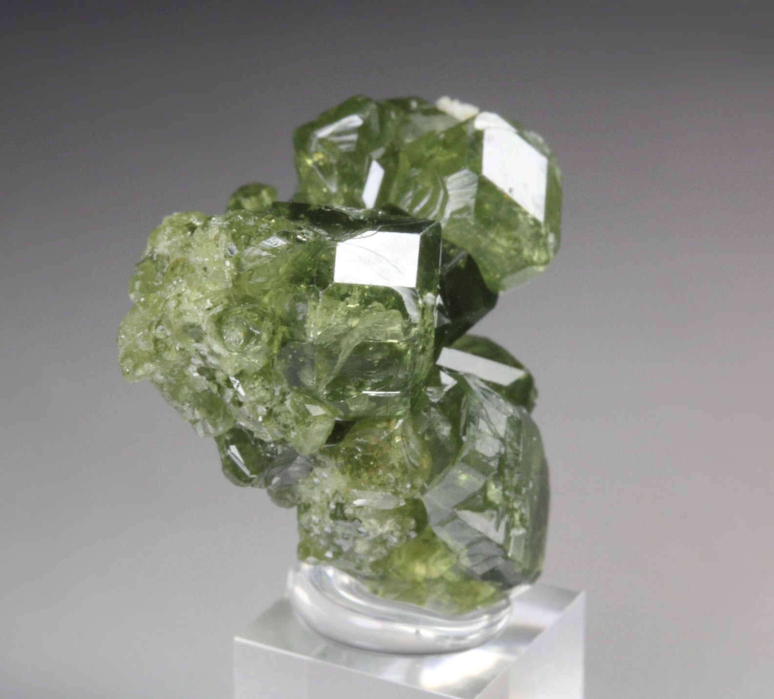 gem GARNET var. ANDRADITE var. DEMANTOID