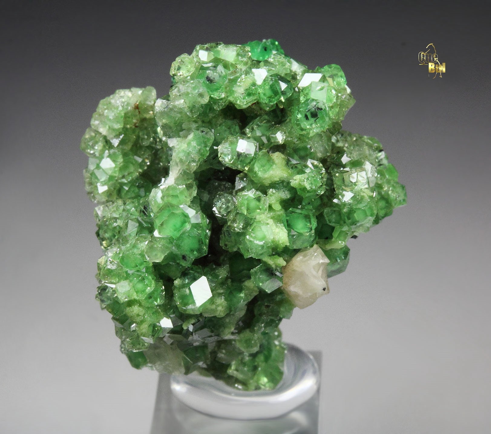 gem GARNET var. GROSSULAR with GREEN CHROMIAN PHANTOMS, PREHNITE, CHROMITE