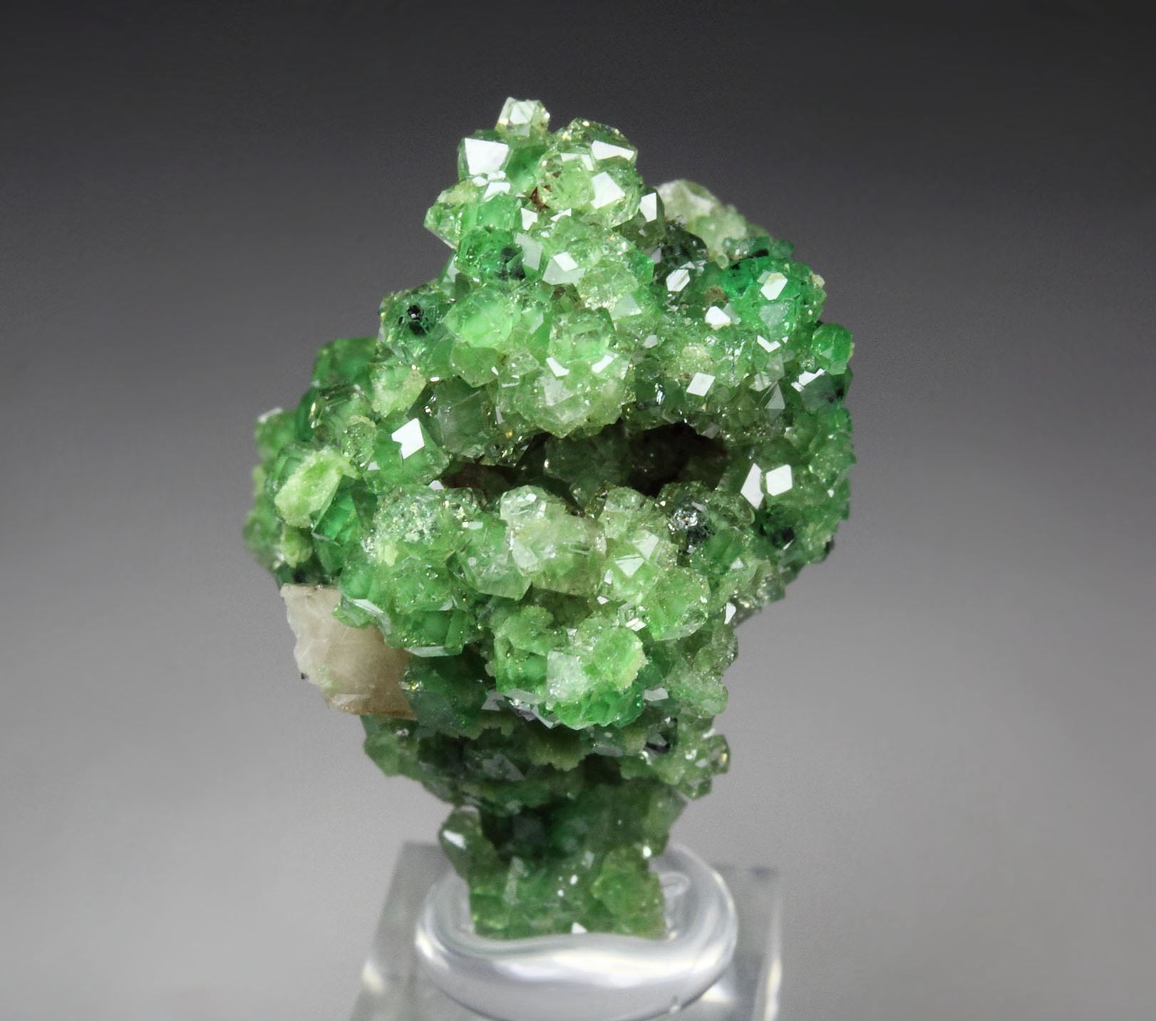 gem GARNET var. GROSSULAR with GREEN CHROMIAN PHANTOMS, PREHNITE, CHROMITE