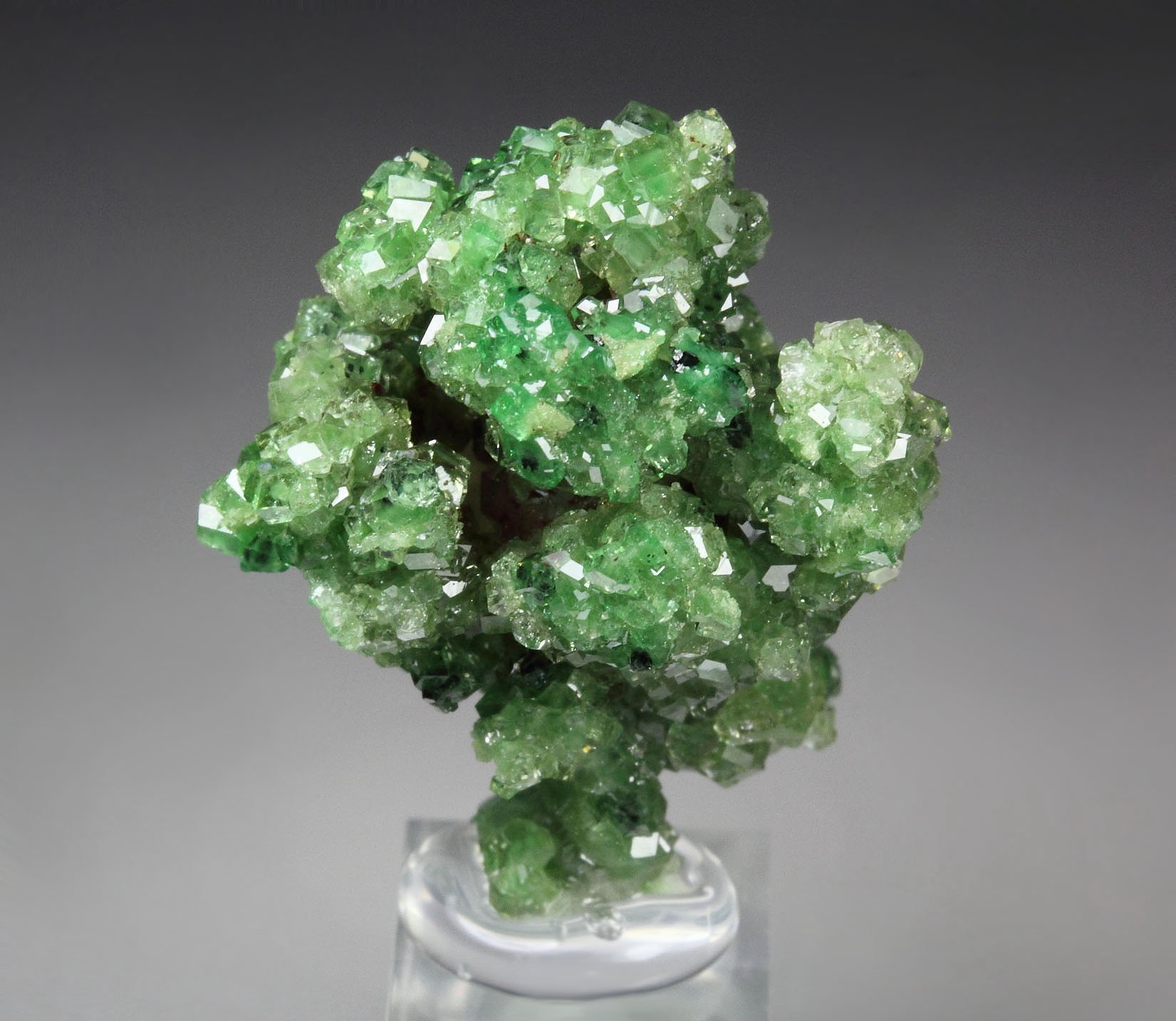 gem GARNET var. GROSSULAR with GREEN CHROMIAN PHANTOMS, PREHNITE, CHROMITE