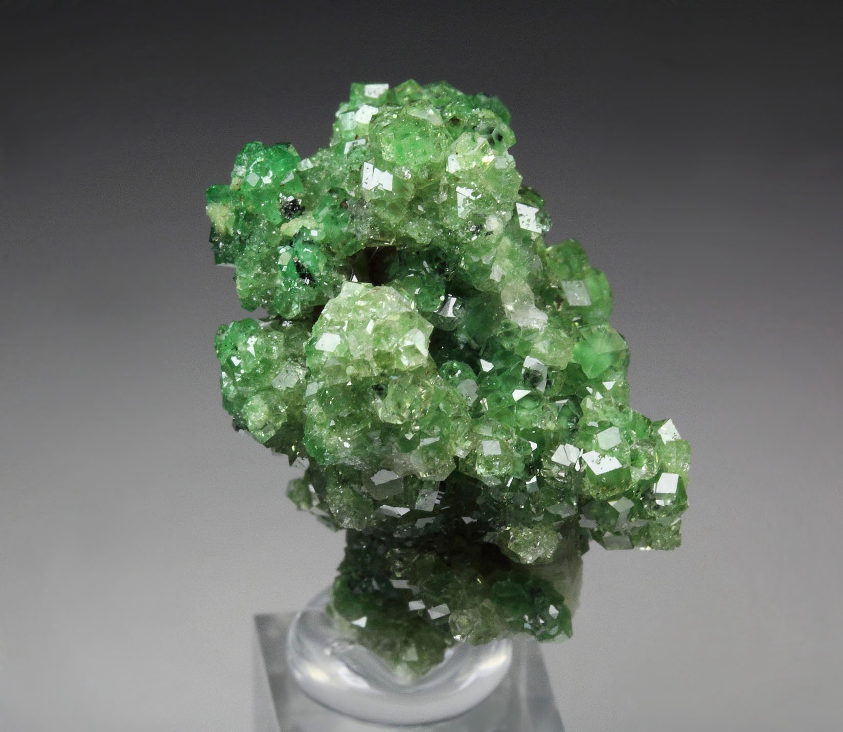 gem GARNET var. GROSSULAR with GREEN CHROMIAN PHANTOMS, PREHNITE, CHROMITE