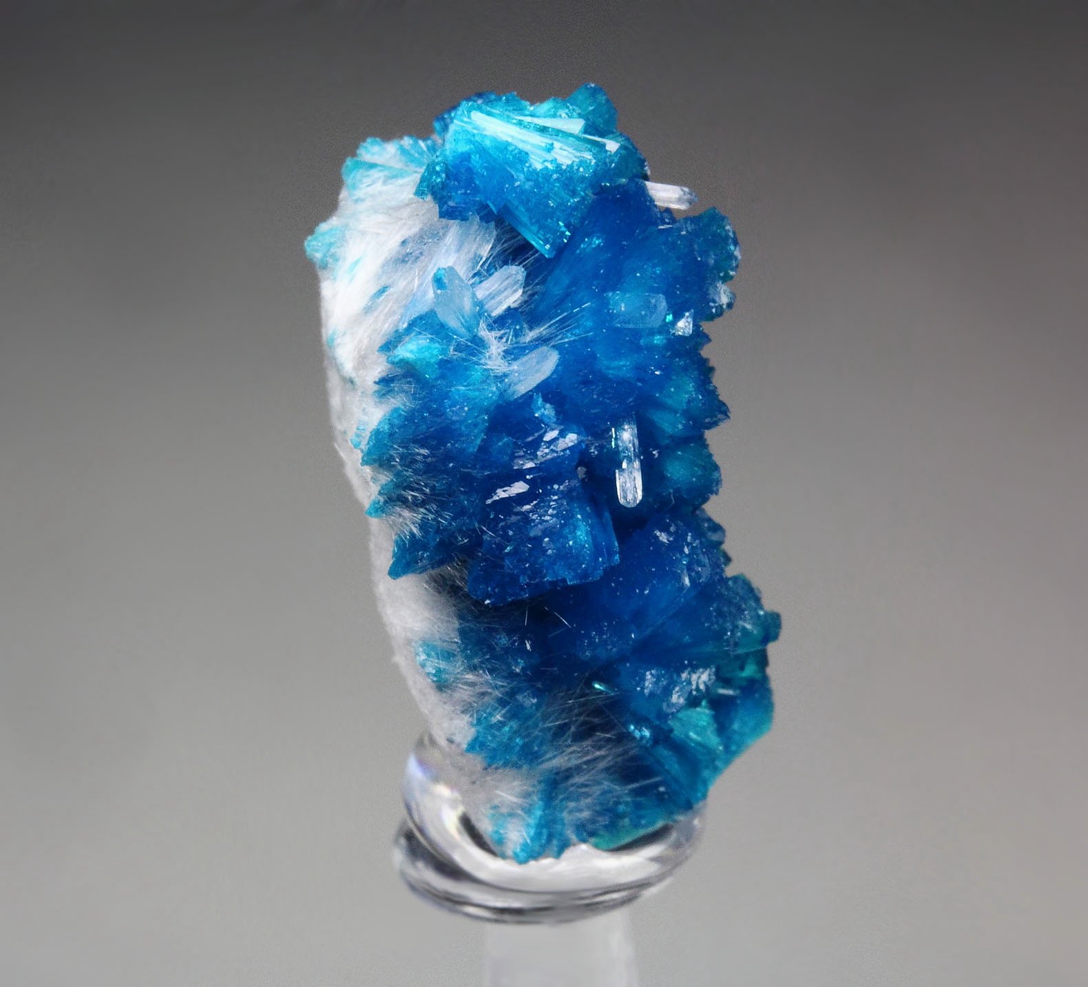 CAVANSITE, MORDENITE, STILBITE