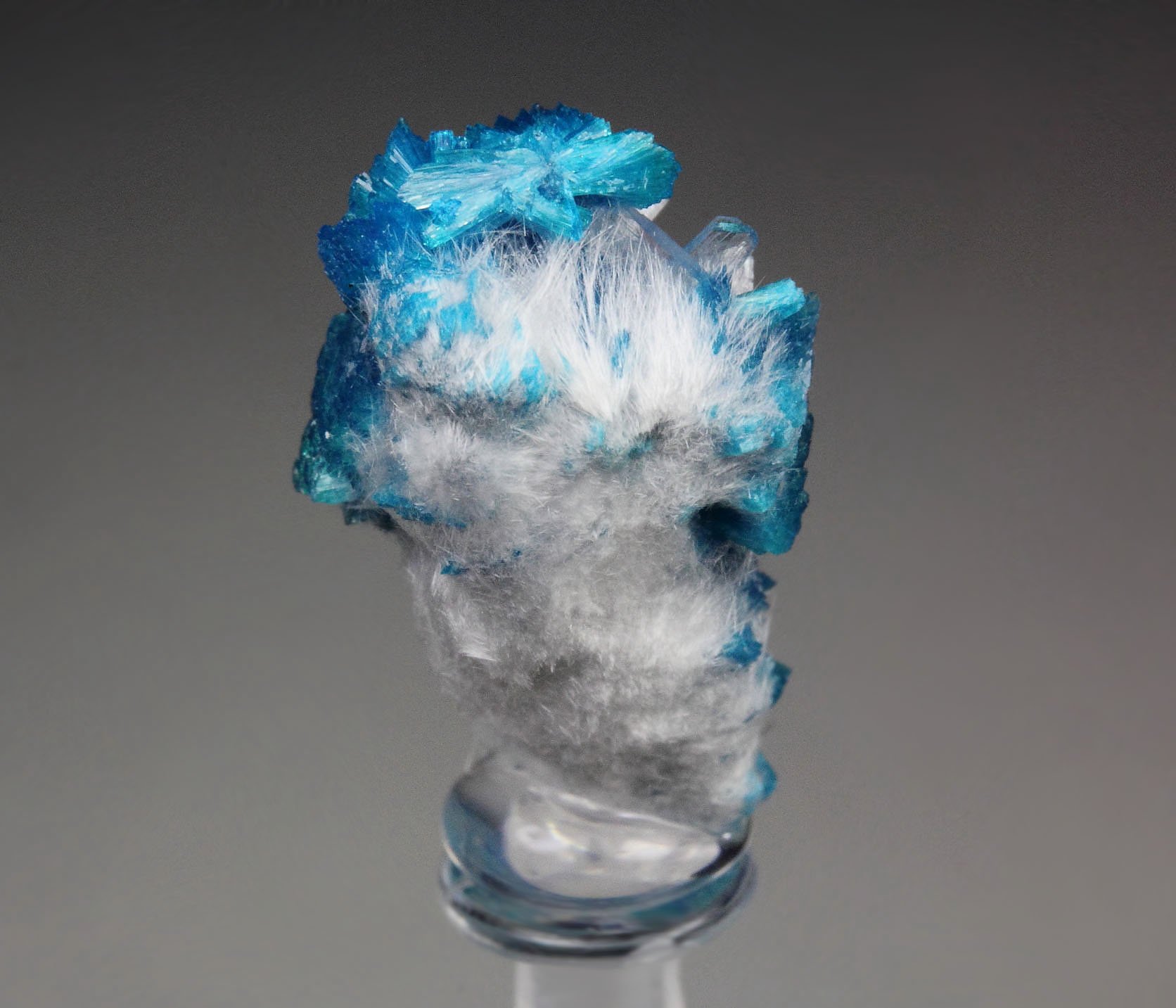 CAVANSITE, MORDENITE, STILBITE