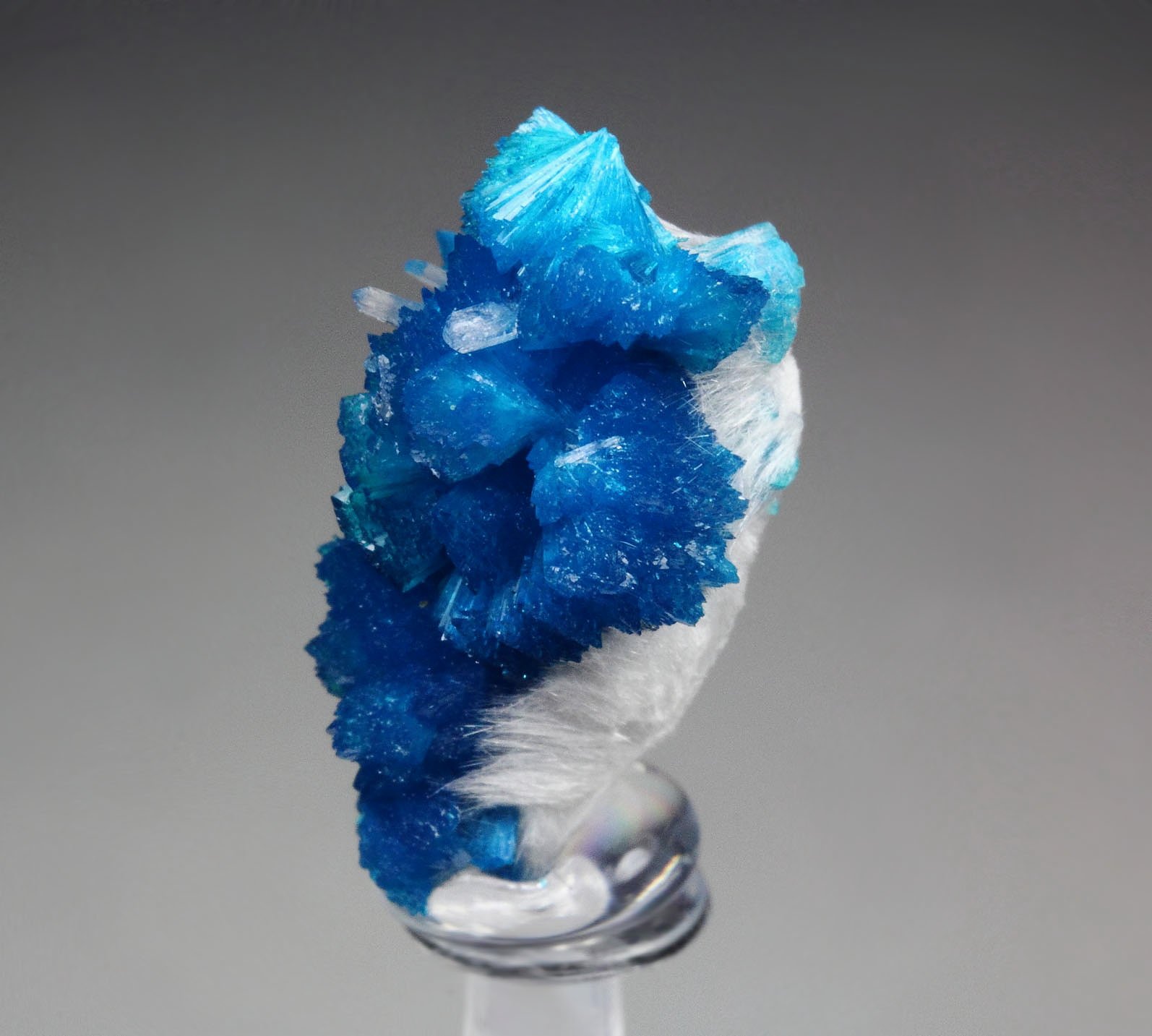 CAVANSITE, MORDENITE, STILBITE