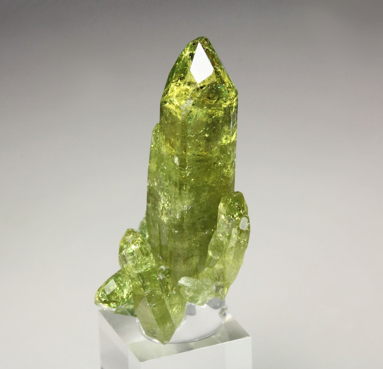 gem VESUVIANITE