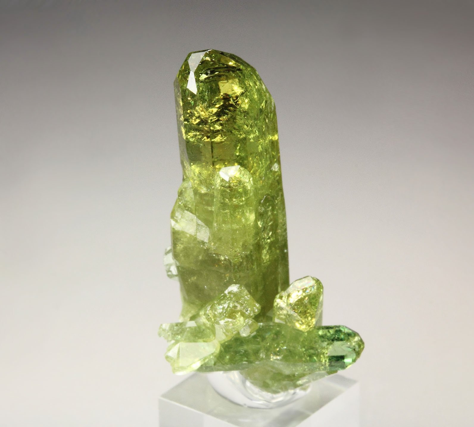 gem VESUVIANITE