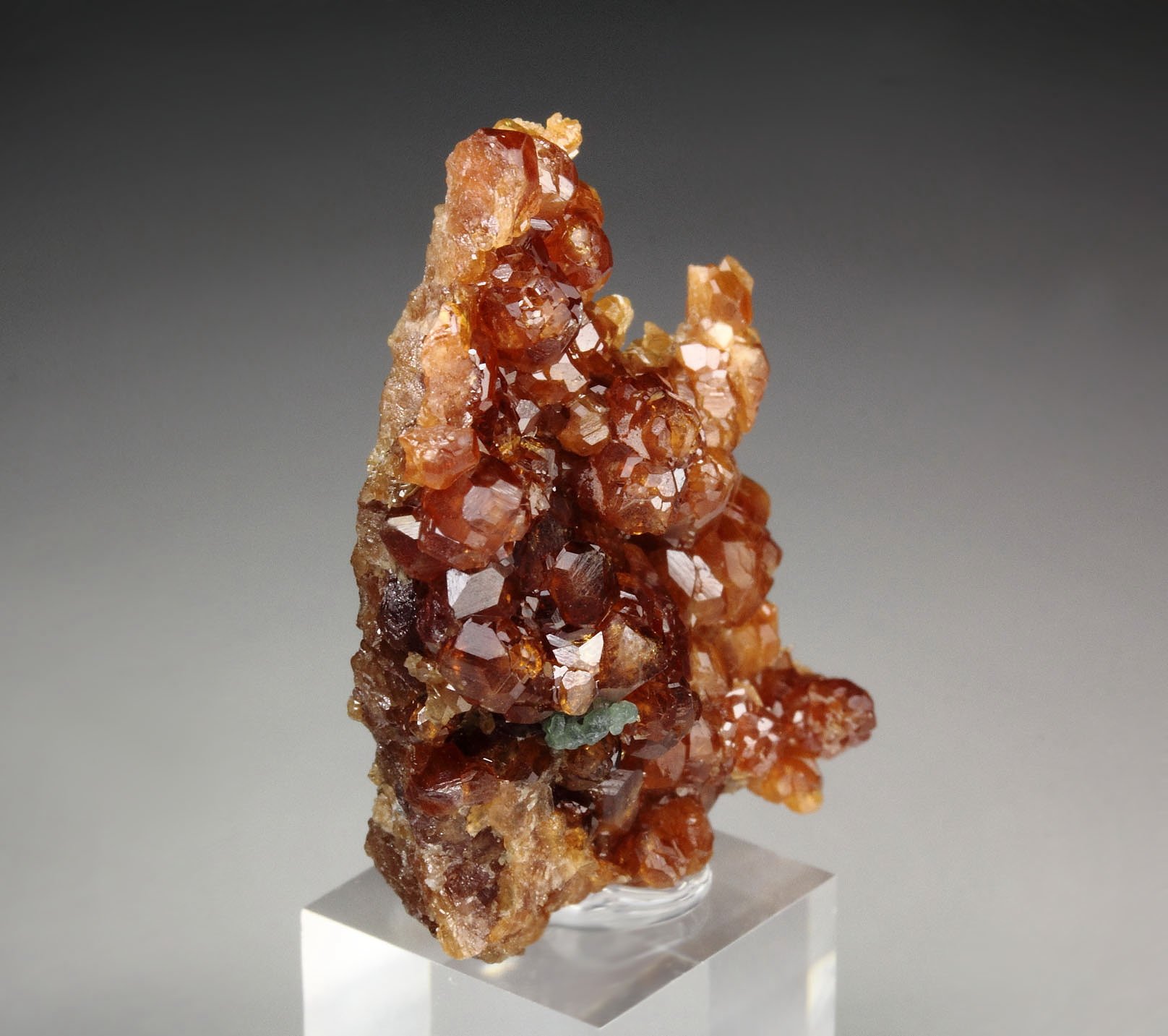 gem GARNET var. HESSONITE, DIOPSIDE