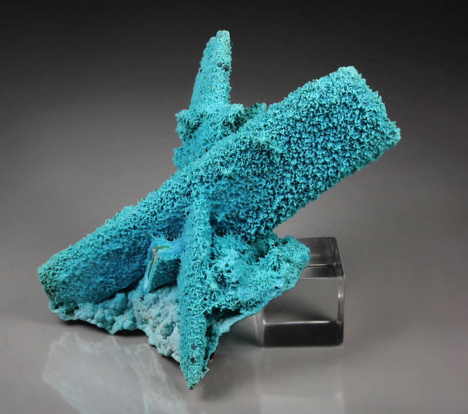 CHRYSOCOLLA pseudomorph after AZURITE