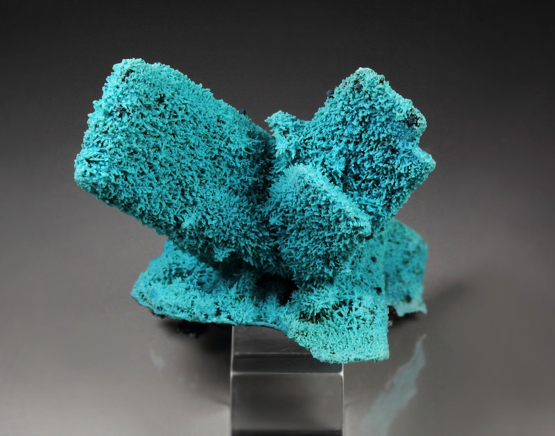 CHRYSOCOLLA pseudomorph after AZURITE