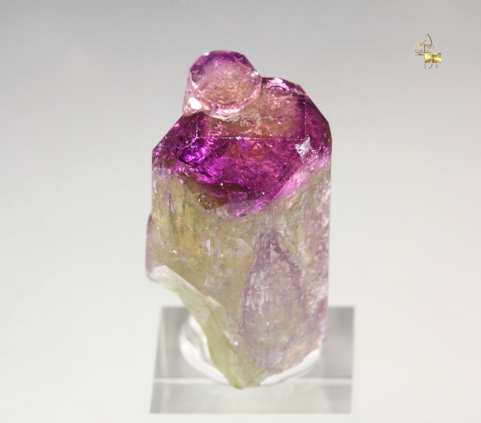 gem VESUVIANITE with RASPBERRY CAP