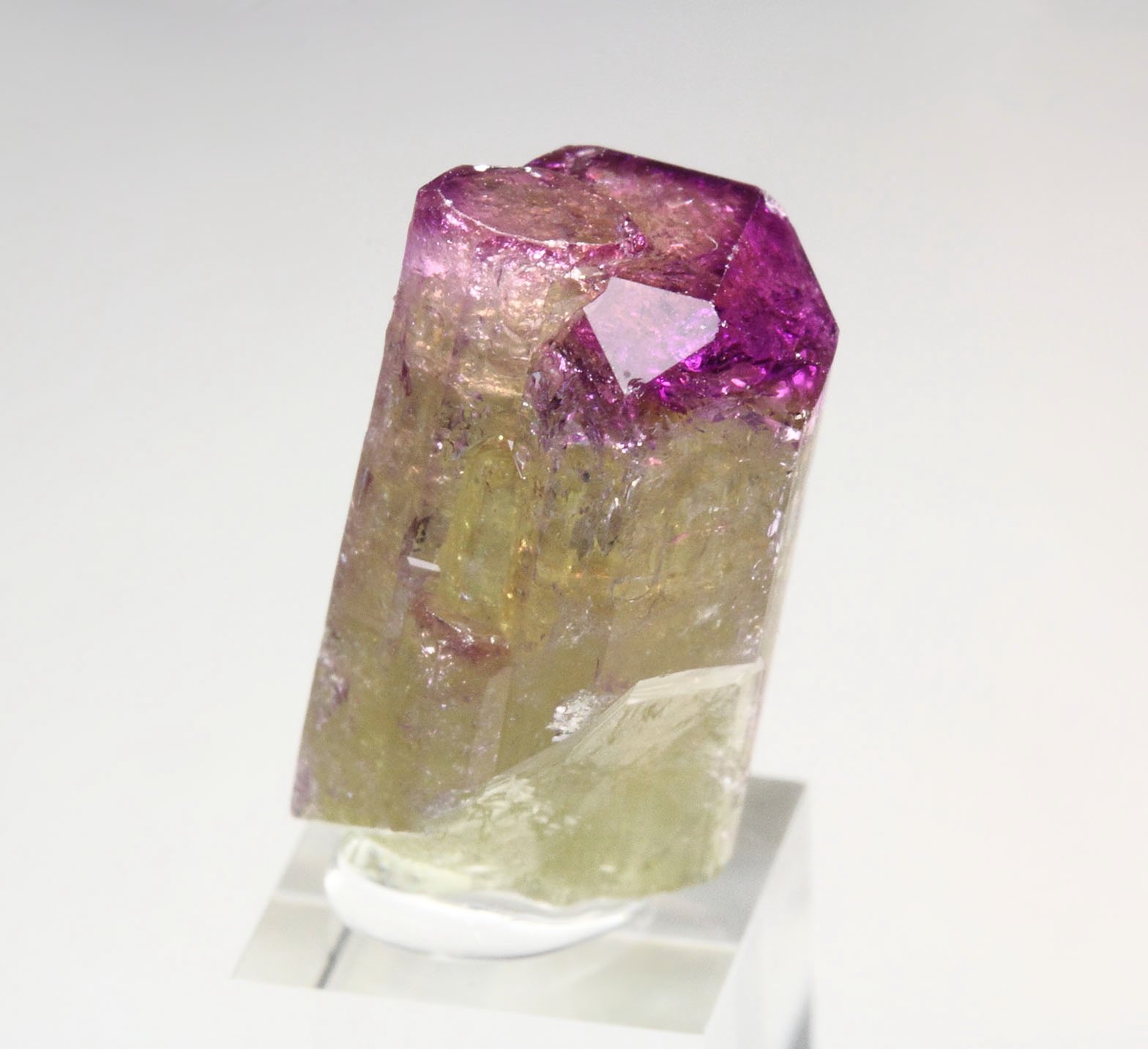 gem VESUVIANITE with RASPBERRY CAP