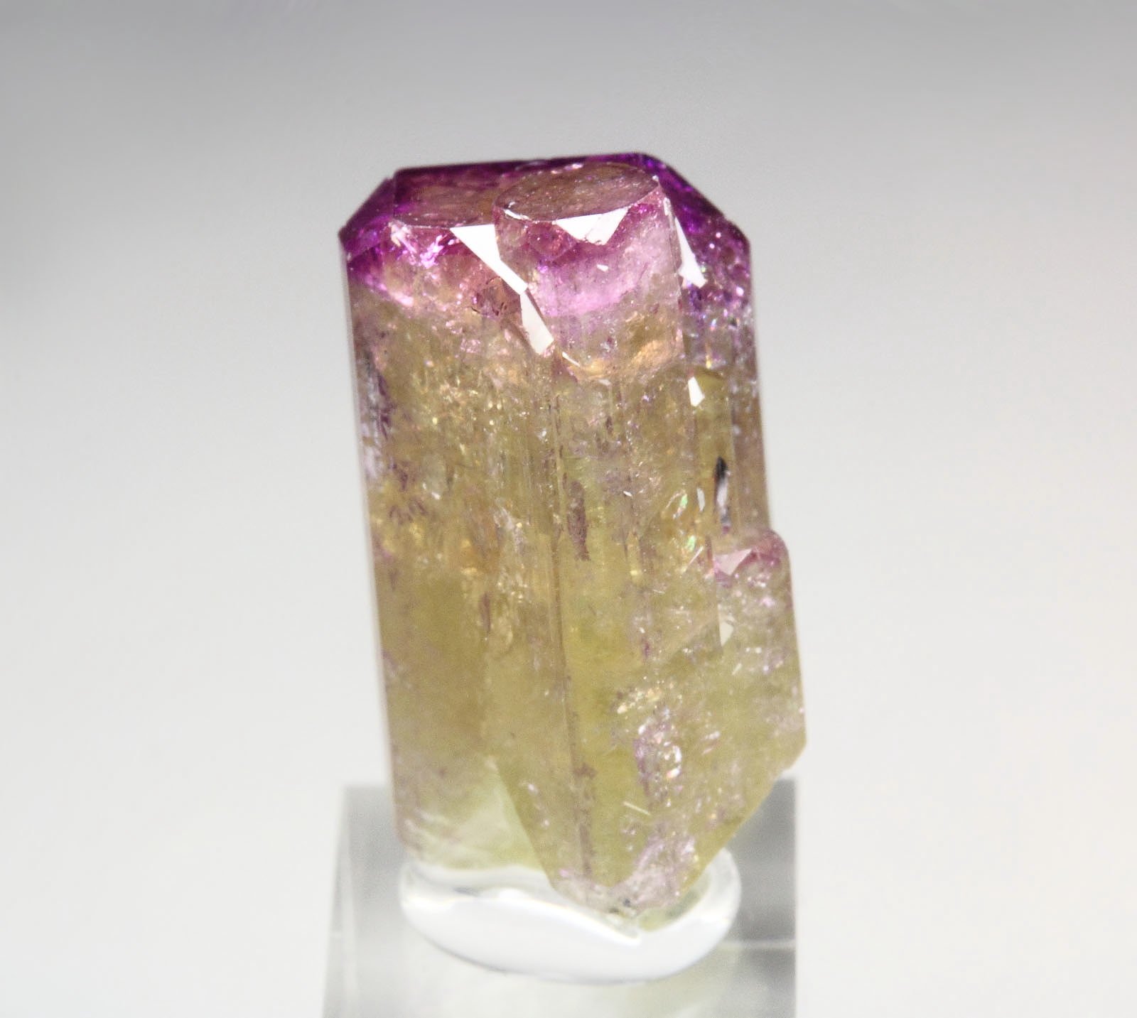 gem VESUVIANITE with RASPBERRY CAP