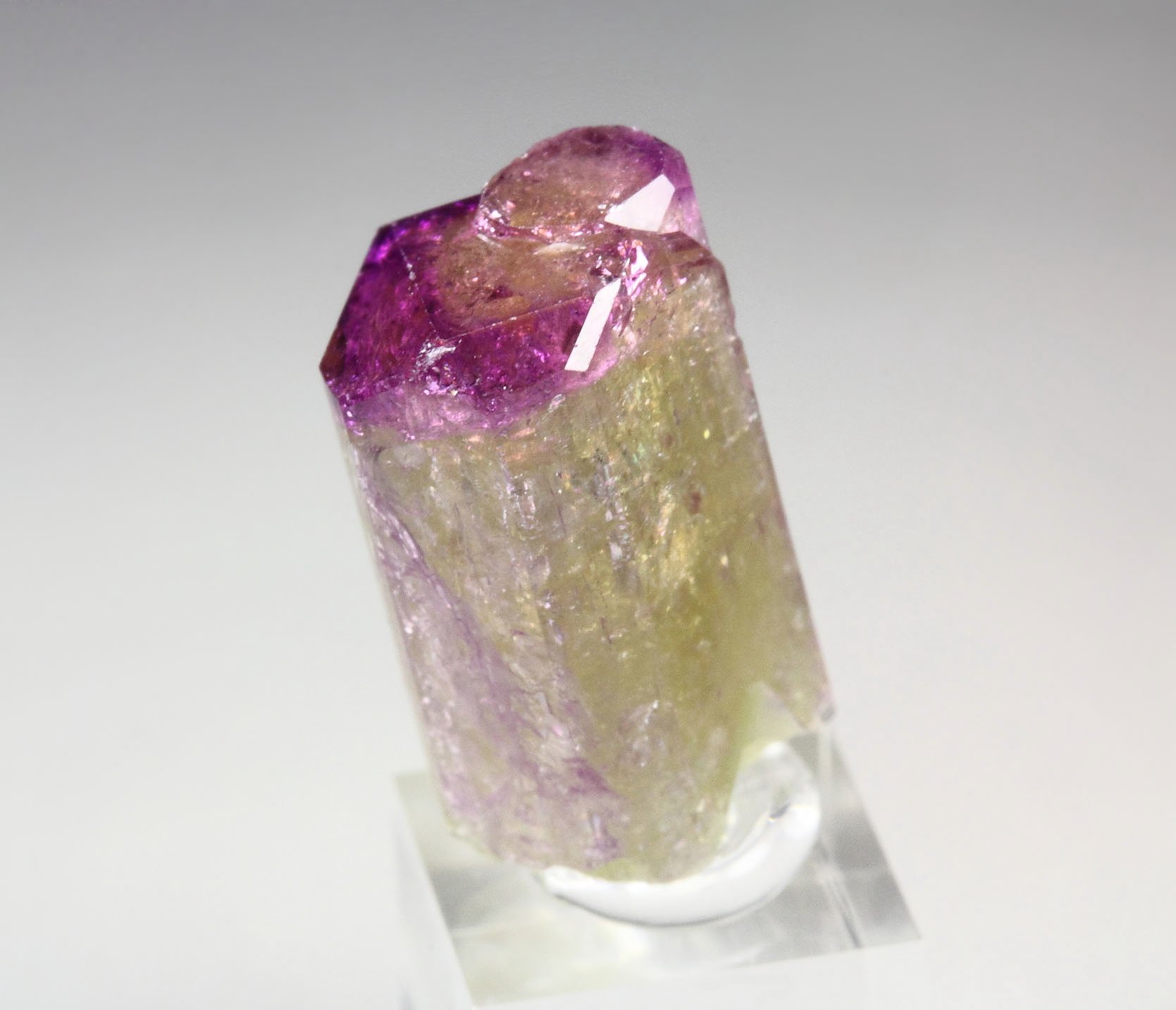 gem VESUVIANITE with RASPBERRY CAP