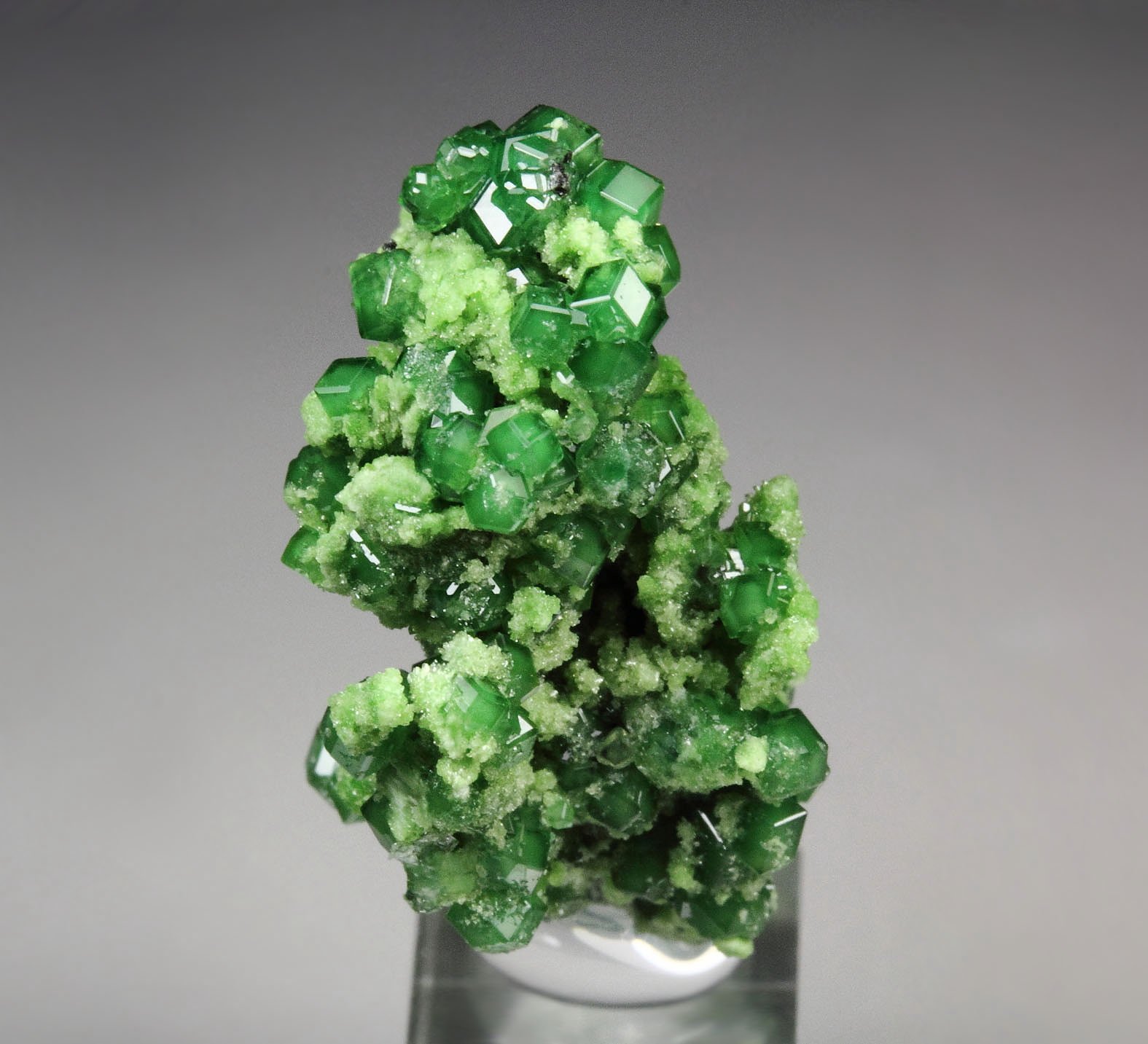 gem GARNET var. GROSSULAR var. CHROMIAN, CHROMITE, DIOPSIDE