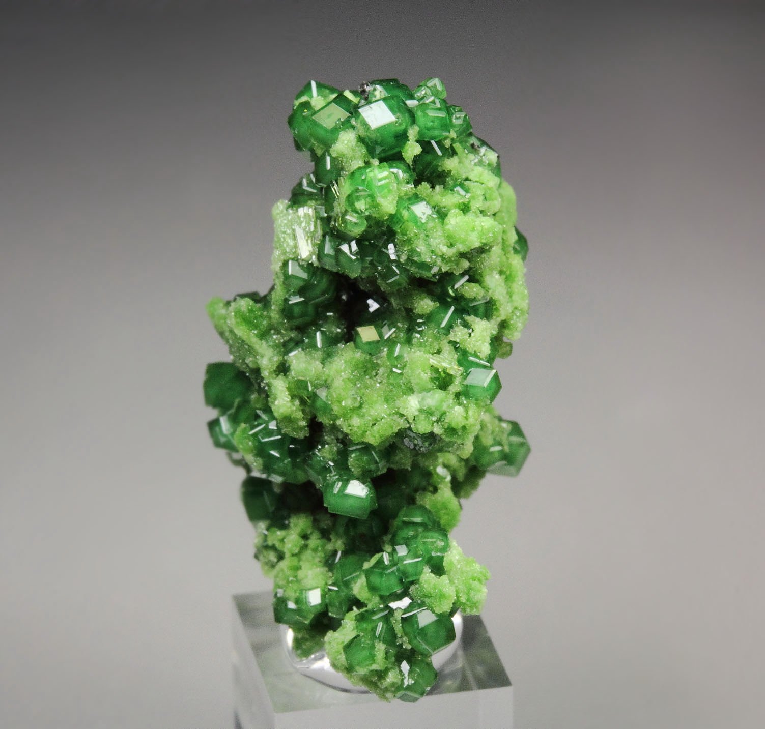 gem GARNET var. GROSSULAR var. CHROMIAN, CHROMITE, DIOPSIDE