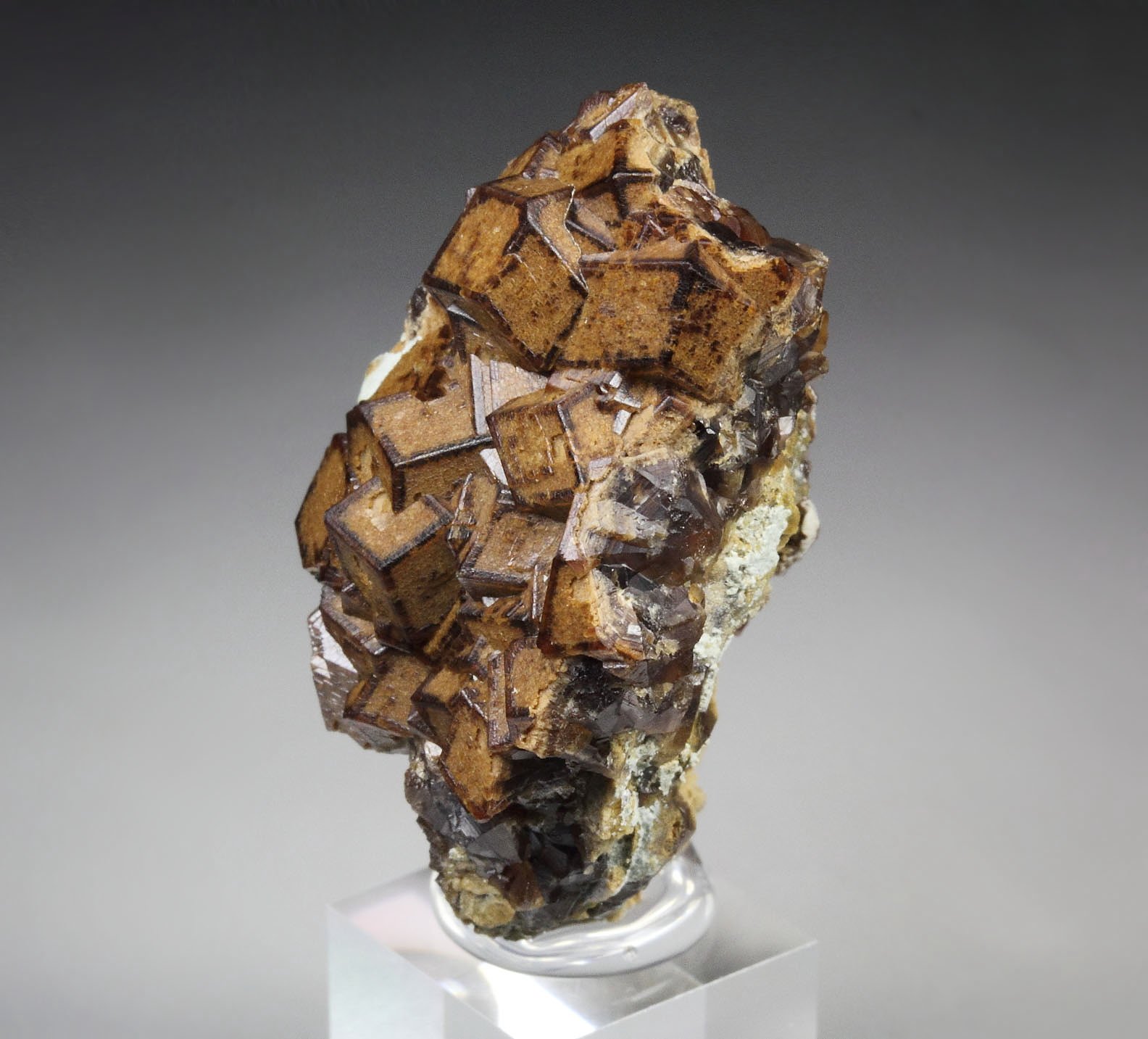 GARNET var. ANDRADITE