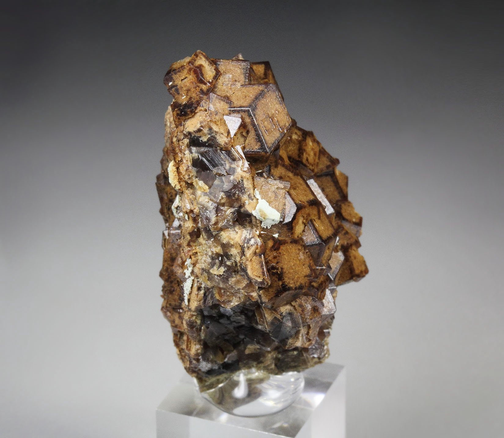 GARNET var. ANDRADITE