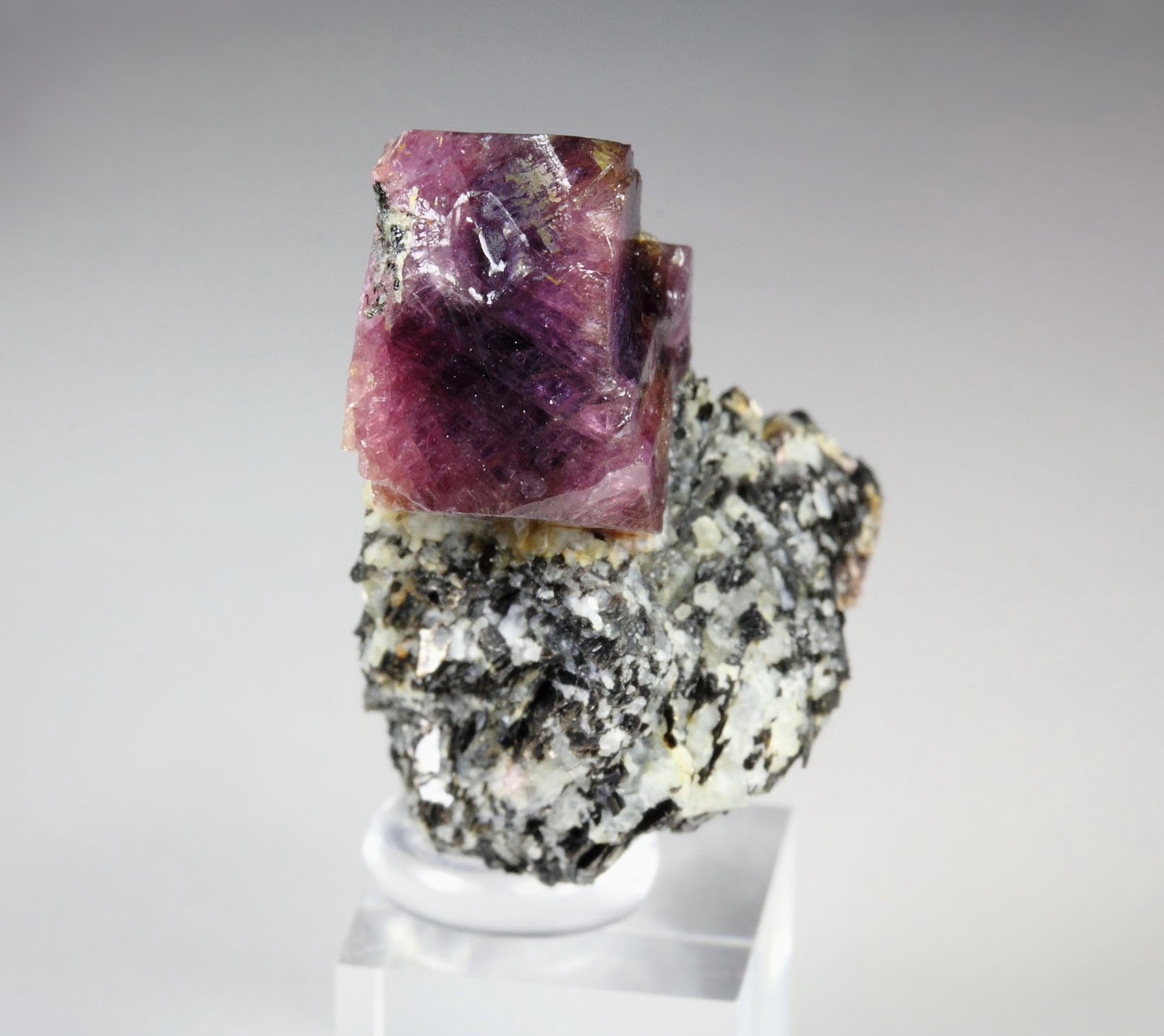 bi-color CORUNDUM var. RUBY, MUSCOVITE