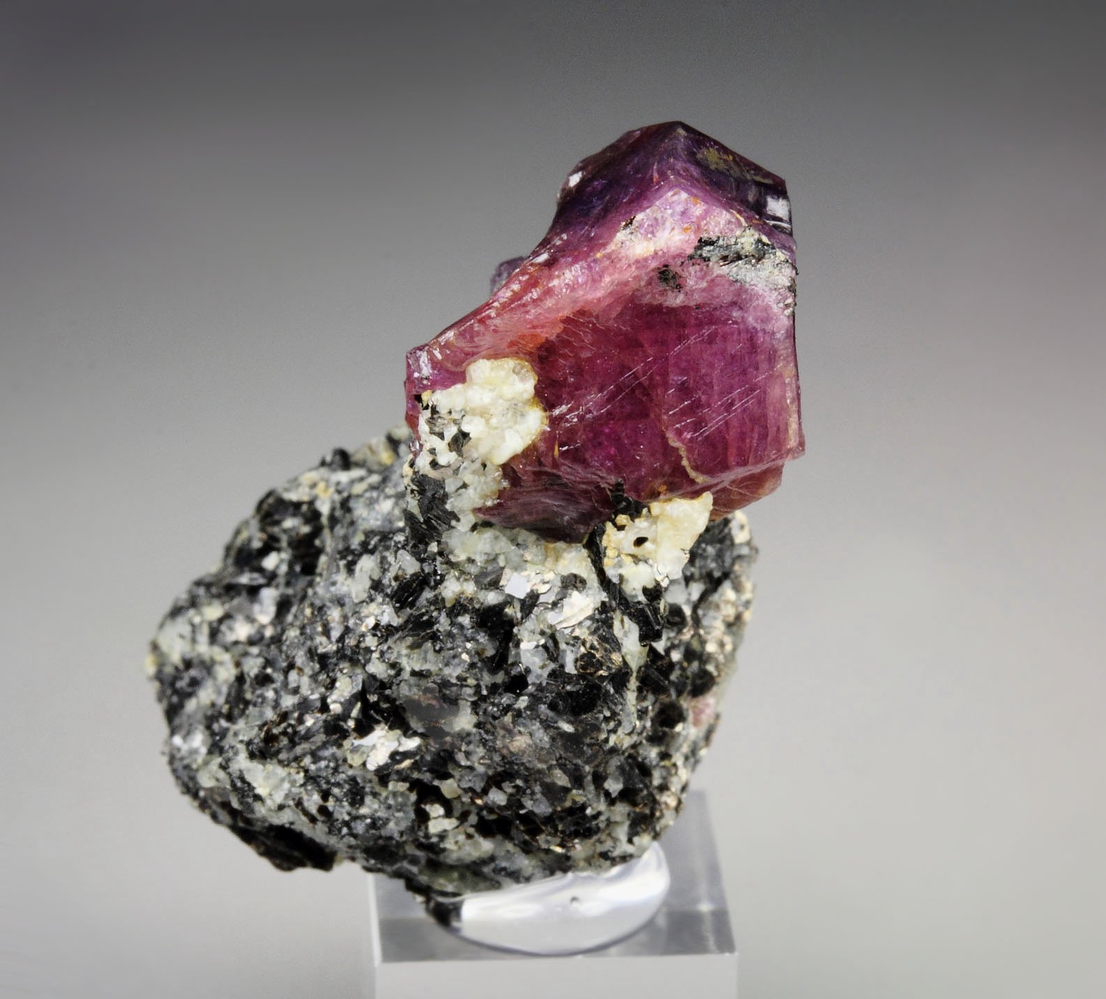 bi-color CORUNDUM var. RUBY, MUSCOVITE