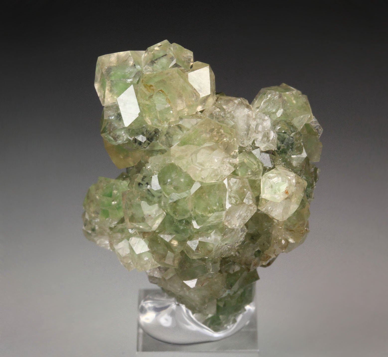 gem GARNET var. GROSSULAR with GREEN CHROMIAN PHANTOMS