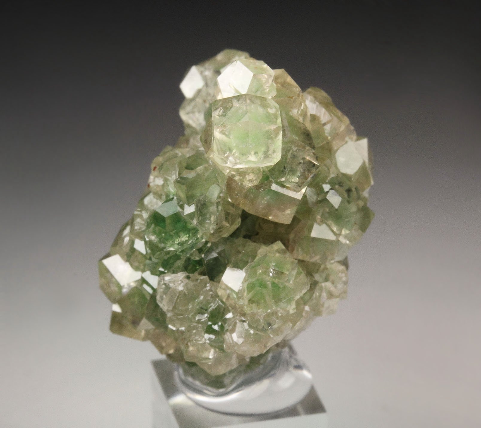 gem GARNET var. GROSSULAR with GREEN CHROMIAN PHANTOMS