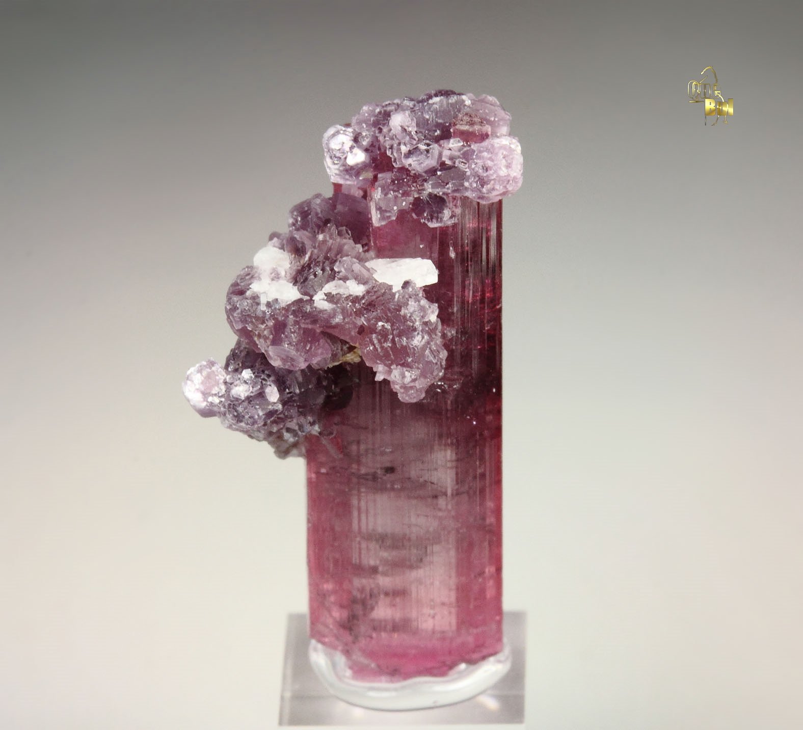 gem TOURMALINE var. ELBAITE, LEPIDOLITE