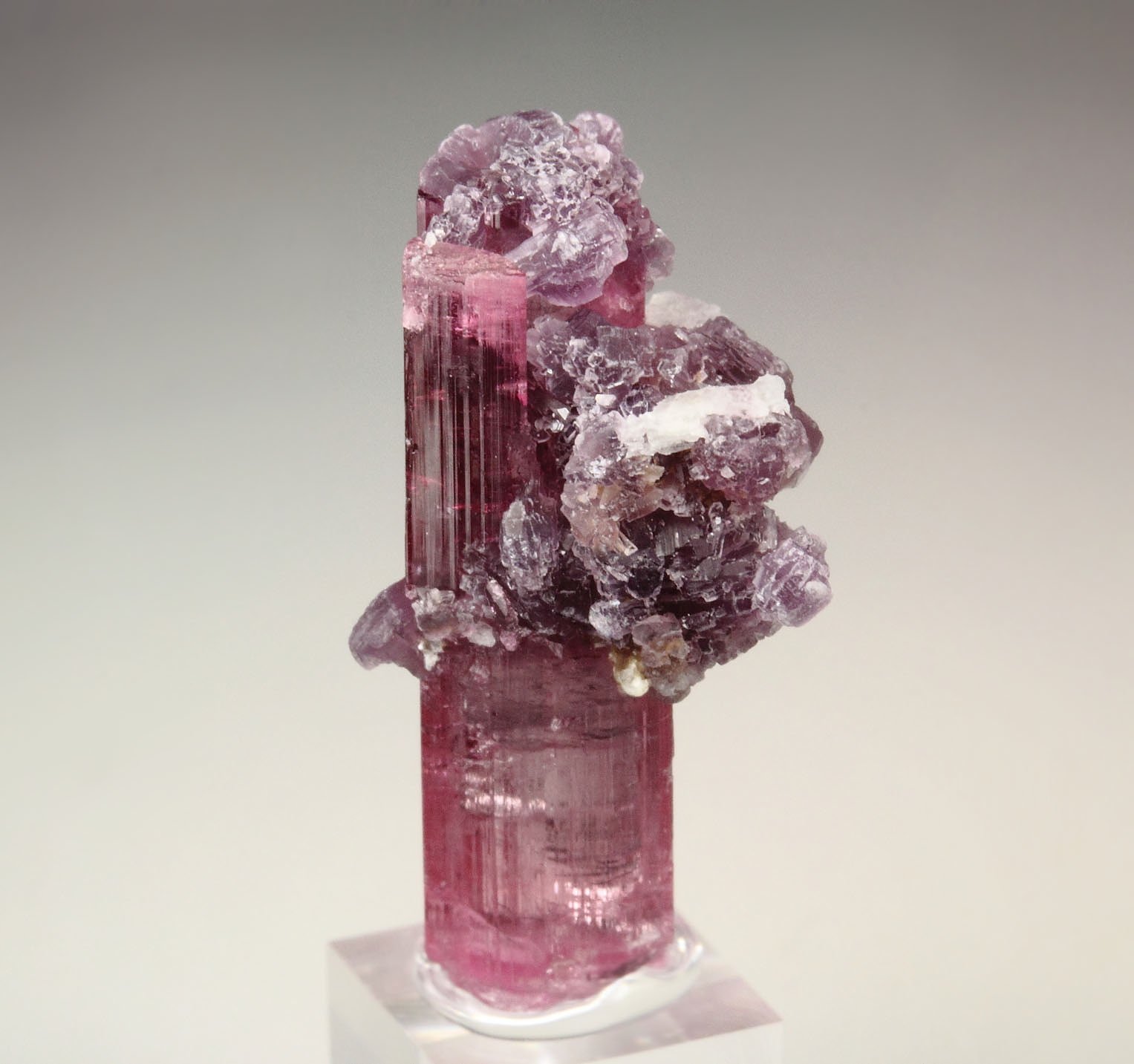 gem TOURMALINE var. ELBAITE, LEPIDOLITE